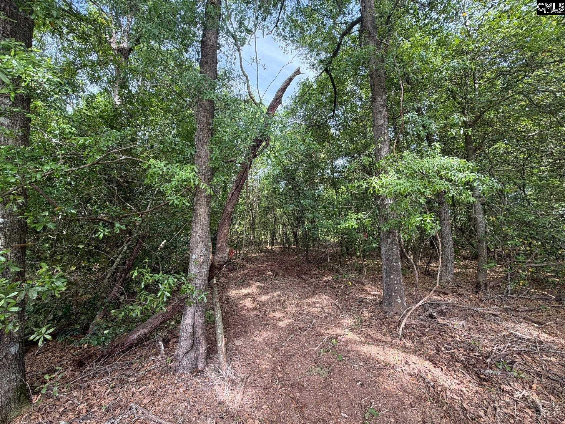 RRF 2 Rogers Cemetery Road UNIT RRF 2 Salley, SC 29137