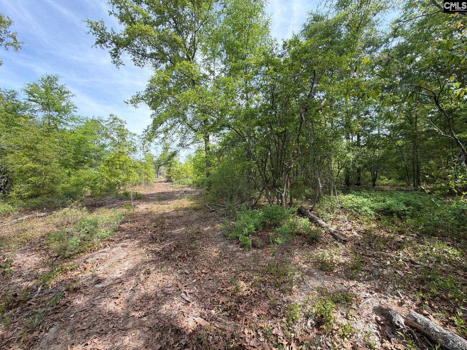 RRF 2 Rogers Cemetery Road UNIT RRF 2 Salley, SC 29137