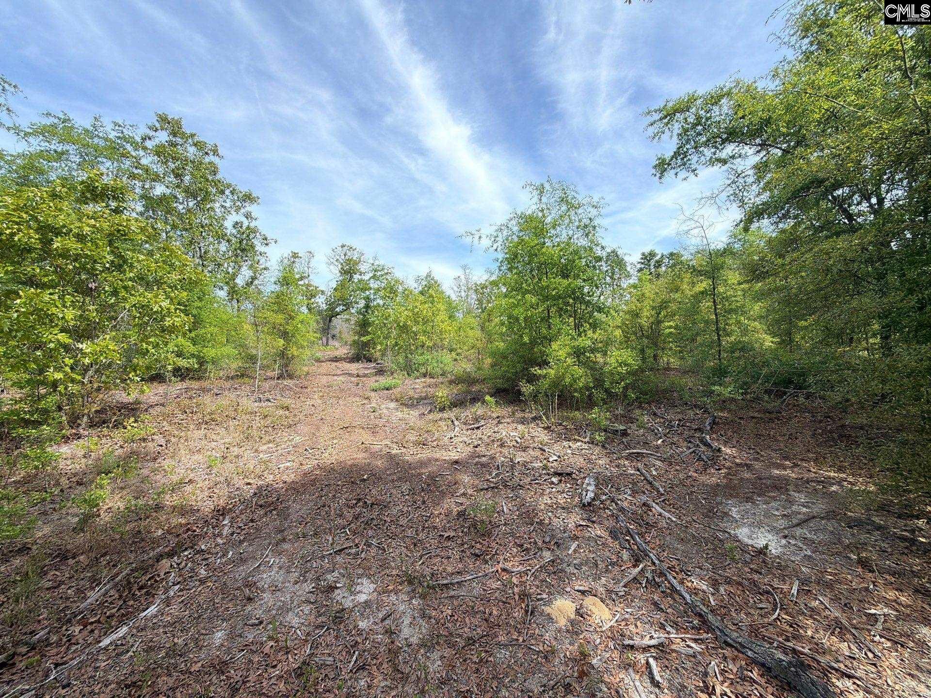 RRF 2 Rogers Cemetery Road UNIT RRF 2 Salley, SC 29137