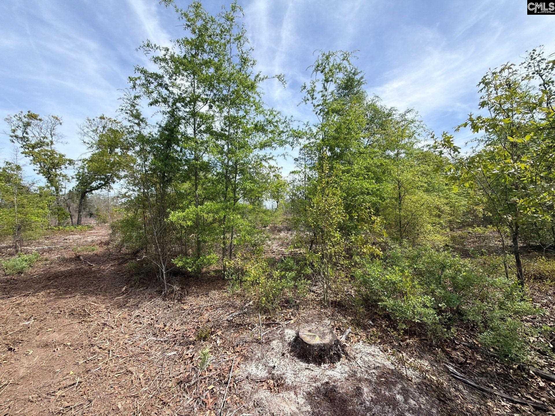 RRF 2 Rogers Cemetery Road UNIT RRF 2 Salley, SC 29137