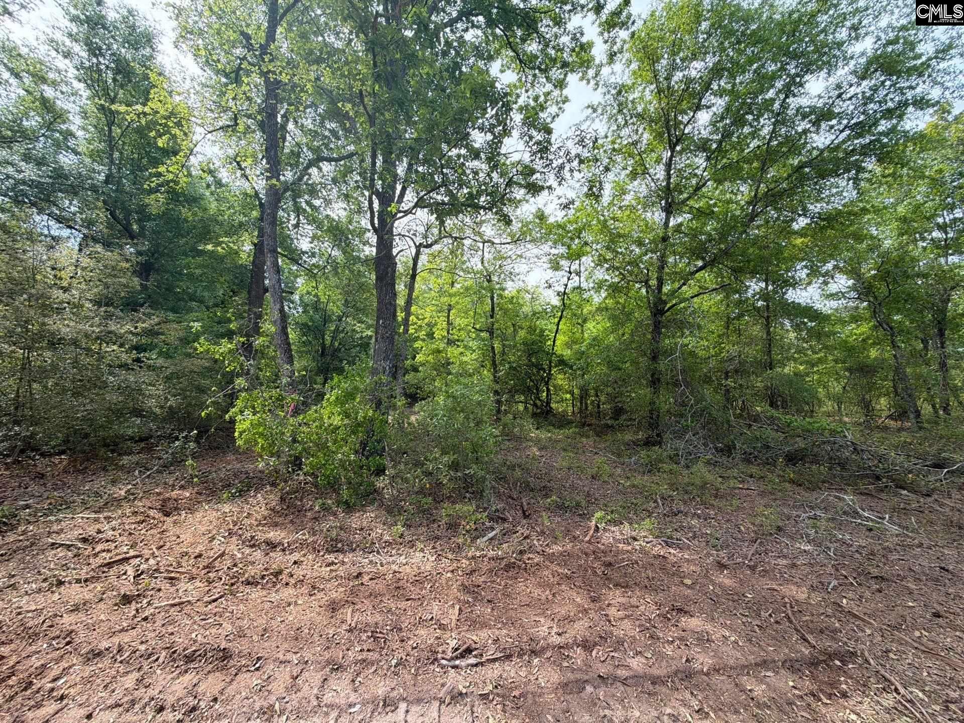RRF 2 Rogers Cemetery Road UNIT RRF 2 Salley, SC 29137