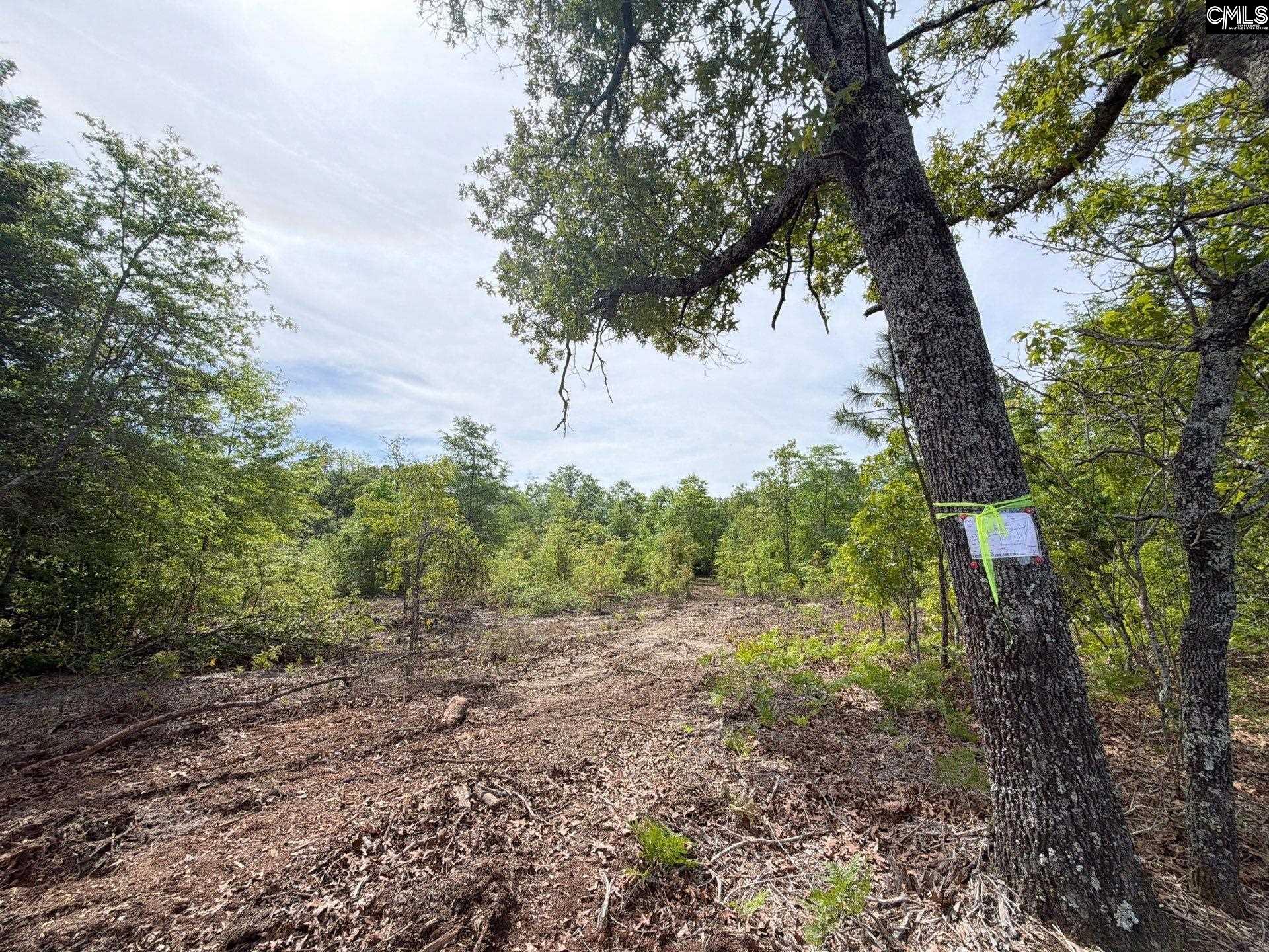 RRF 2 Rogers Cemetery Road UNIT RRF 2 Salley, SC 29137