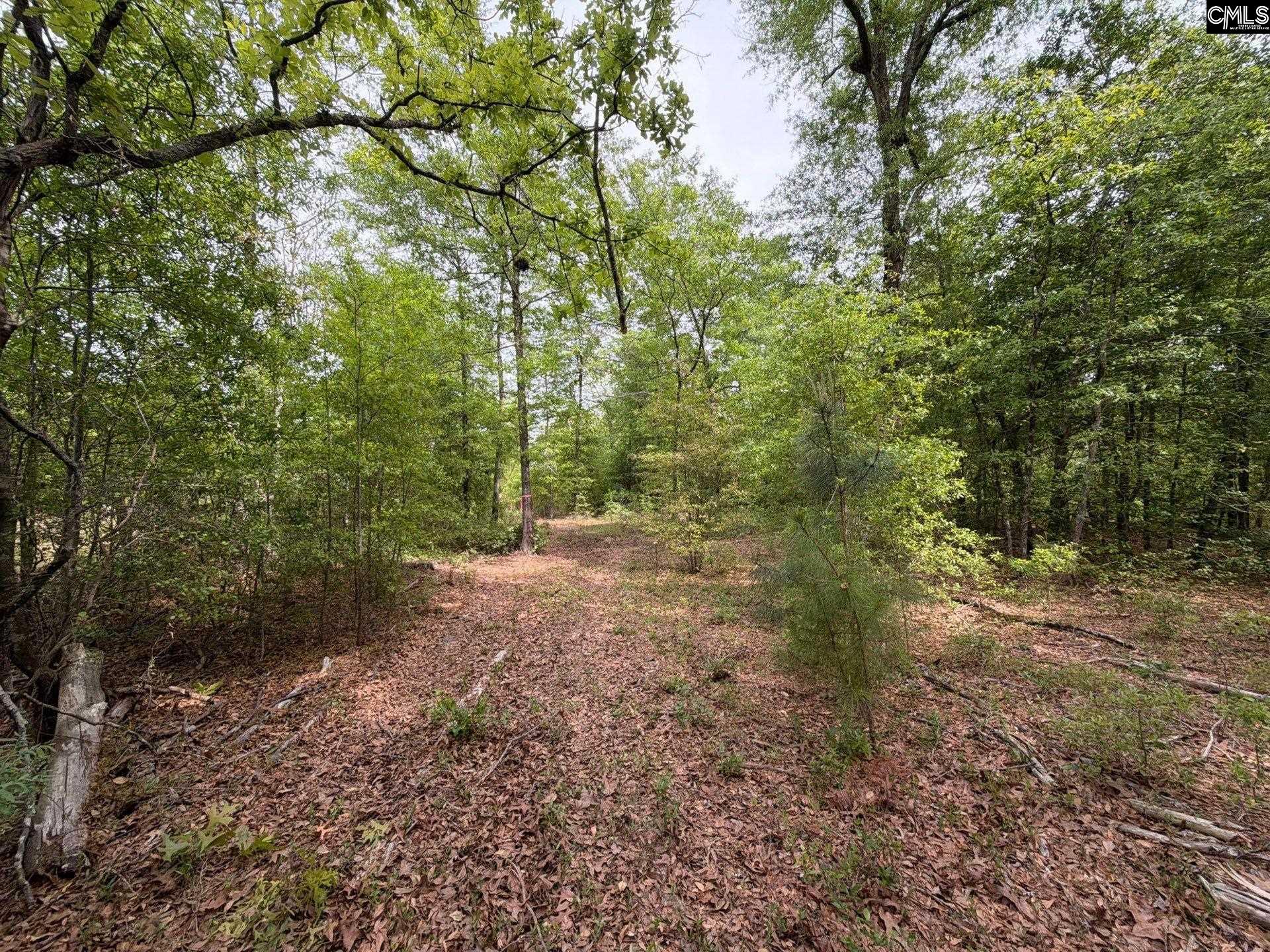 RRF 2 Rogers Cemetery Road UNIT RRF 2 Salley, SC 29137
