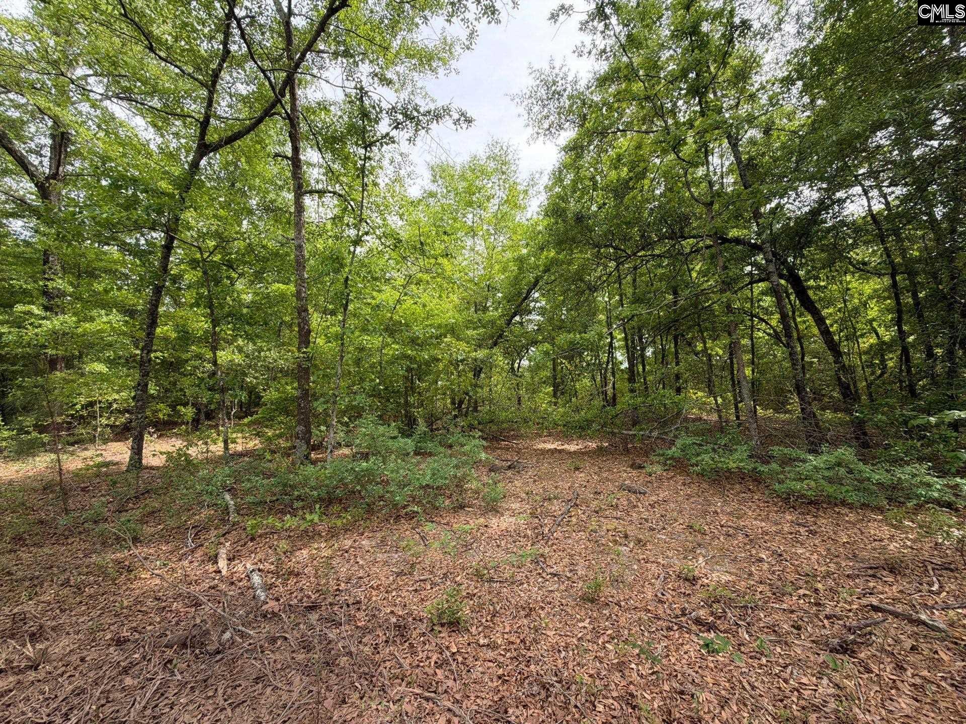 RRF 2 Rogers Cemetery Road UNIT RRF 2 Salley, SC 29137