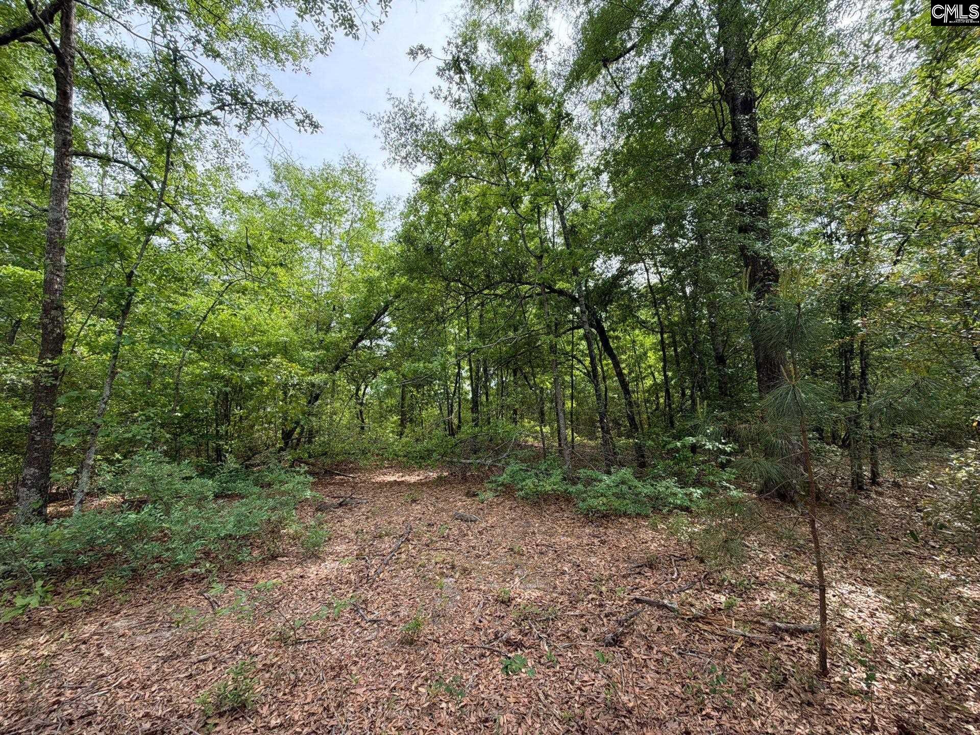 RRF 2 Rogers Cemetery Road UNIT RRF 2 Salley, SC 29137