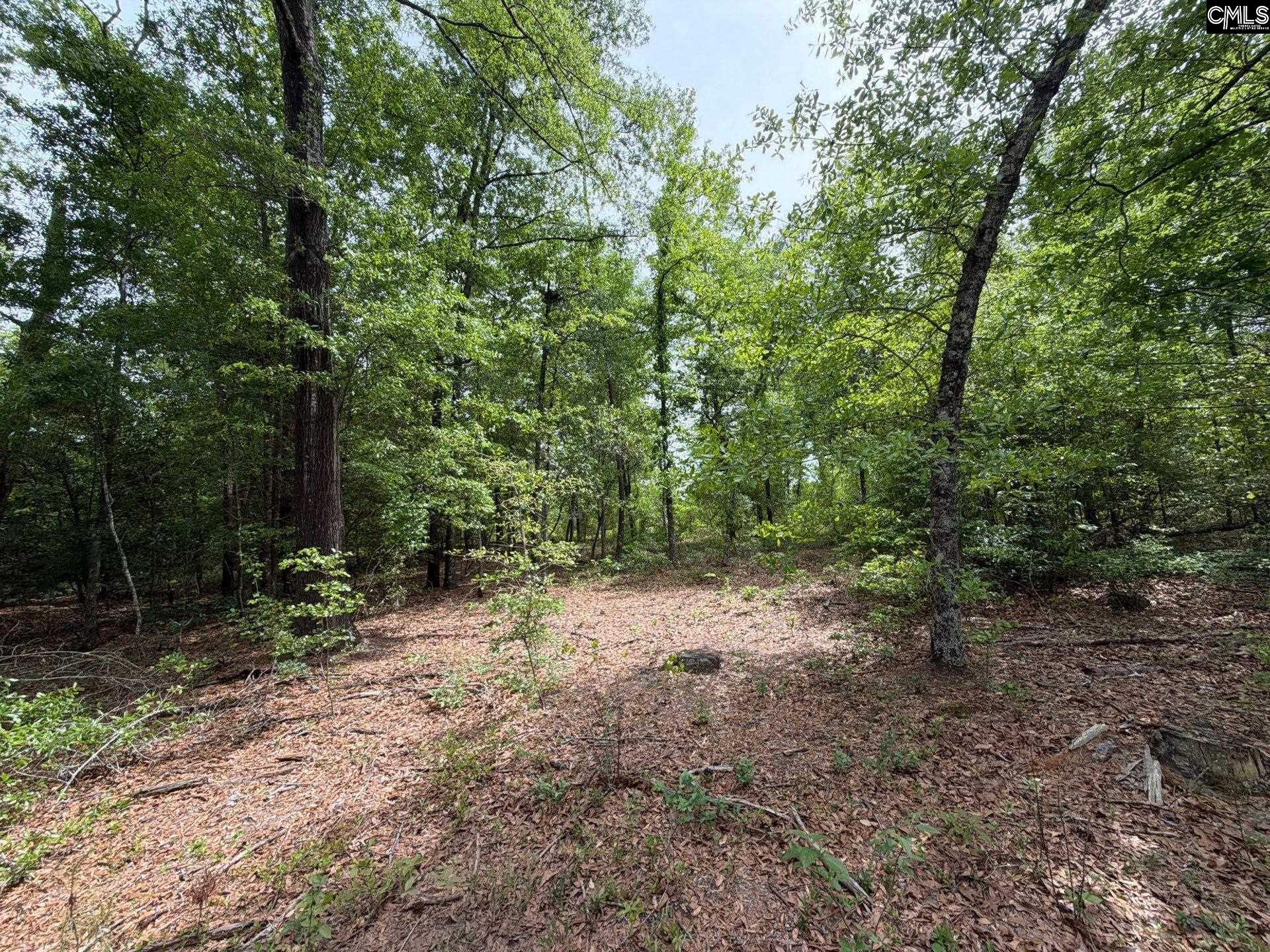 RRF 2 Rogers Cemetery Road UNIT RRF 2 Salley, SC 29137