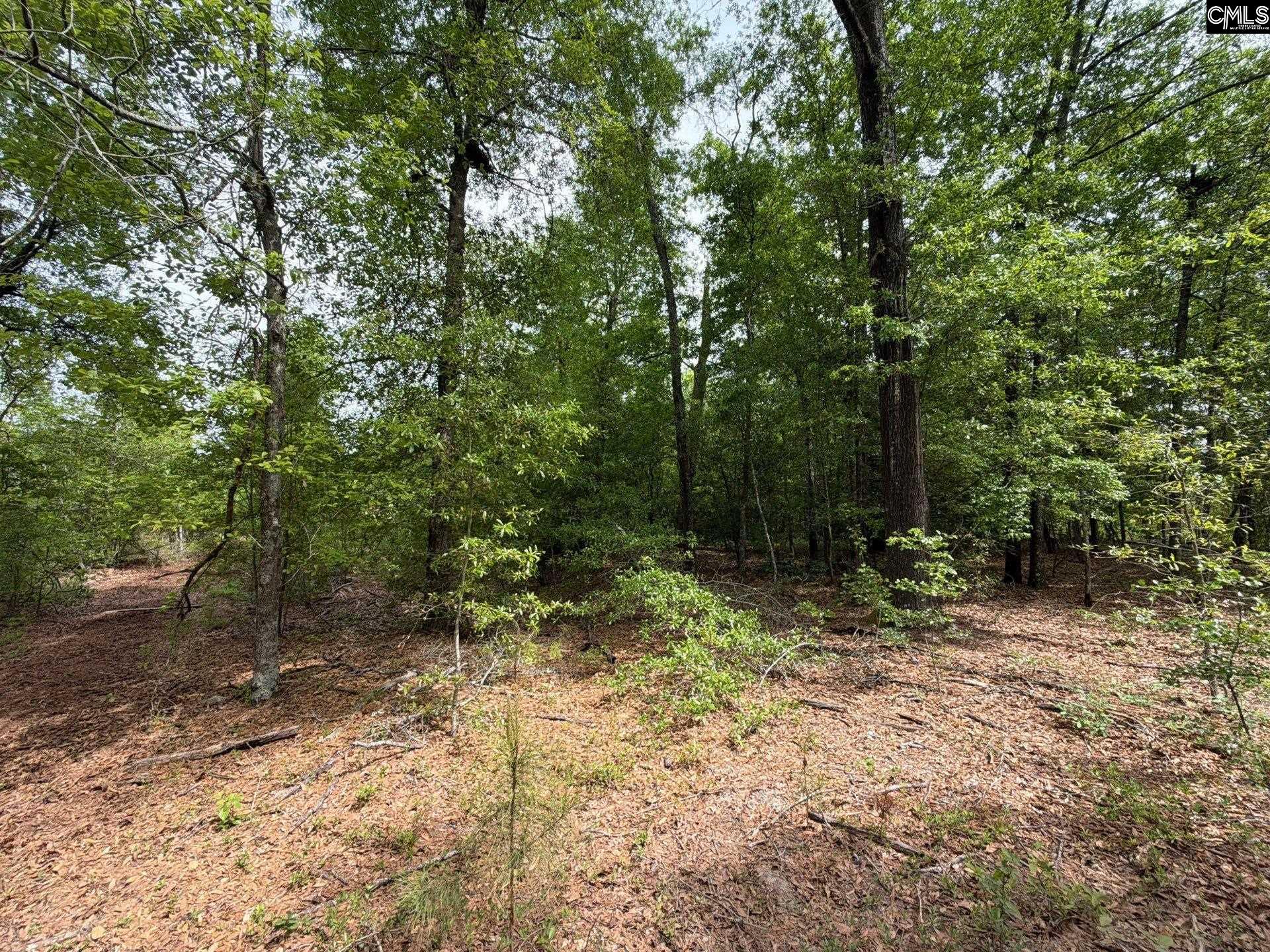 RRF 2 Rogers Cemetery Road UNIT RRF 2 Salley, SC 29137