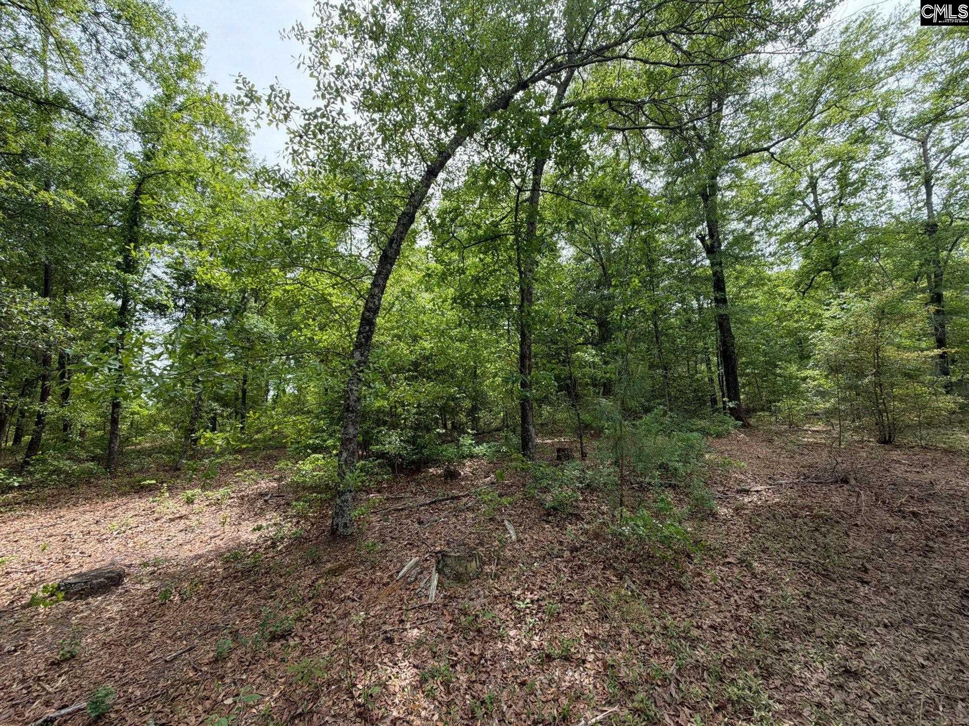 RRF 2 Rogers Cemetery Road UNIT RRF 2 Salley, SC 29137