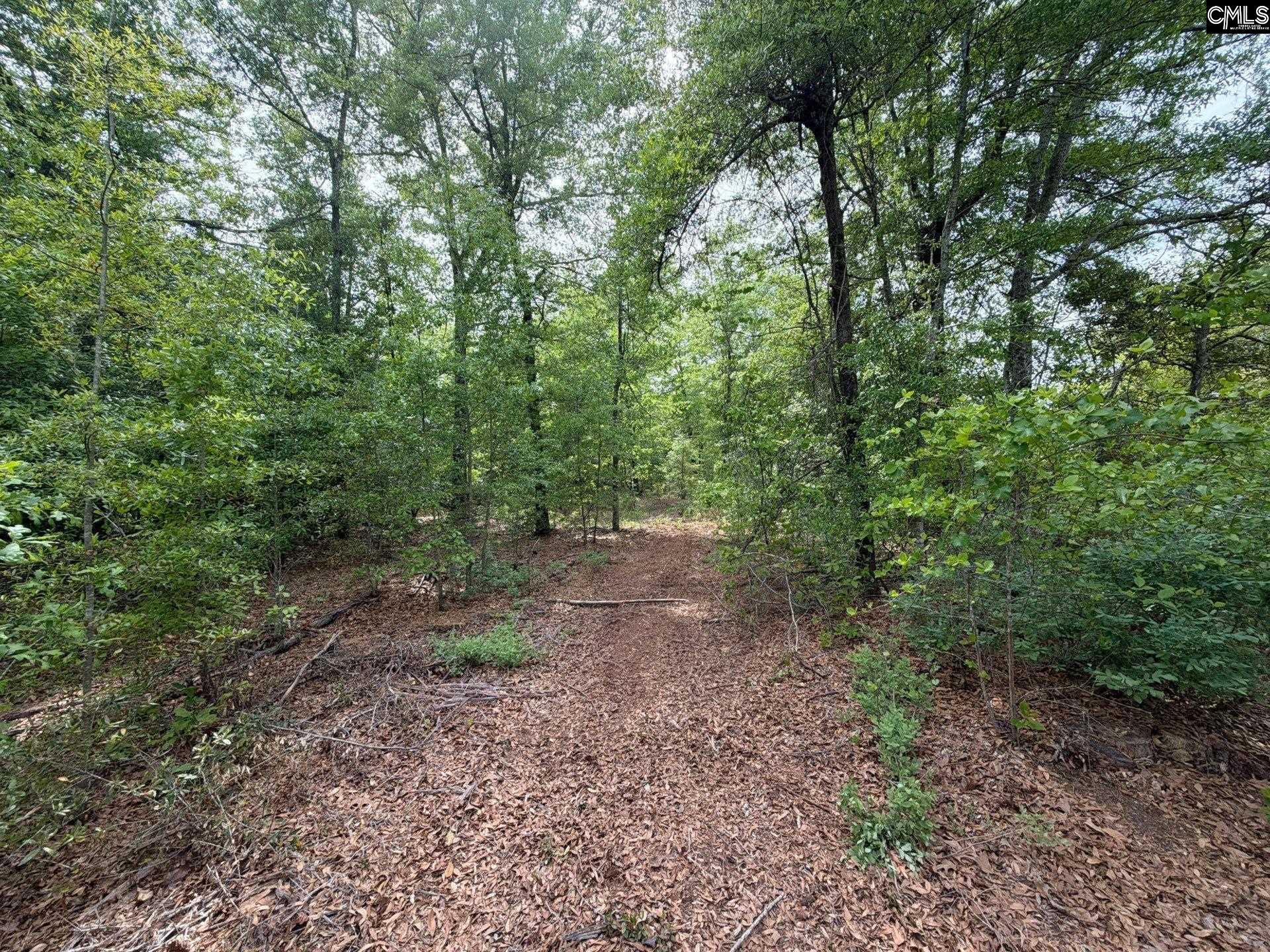 RRF 2 Rogers Cemetery Road UNIT RRF 2 Salley, SC 29137
