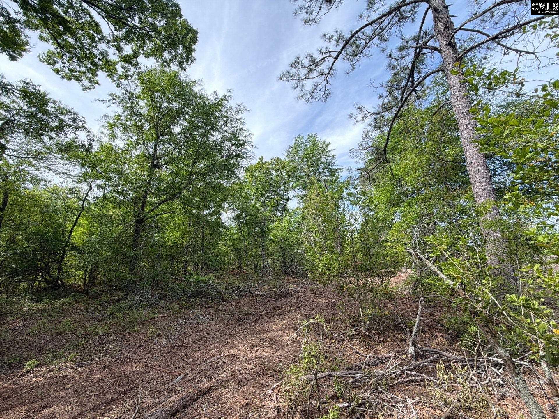 RRF 2 Rogers Cemetery Road UNIT RRF 2 Salley, SC 29137