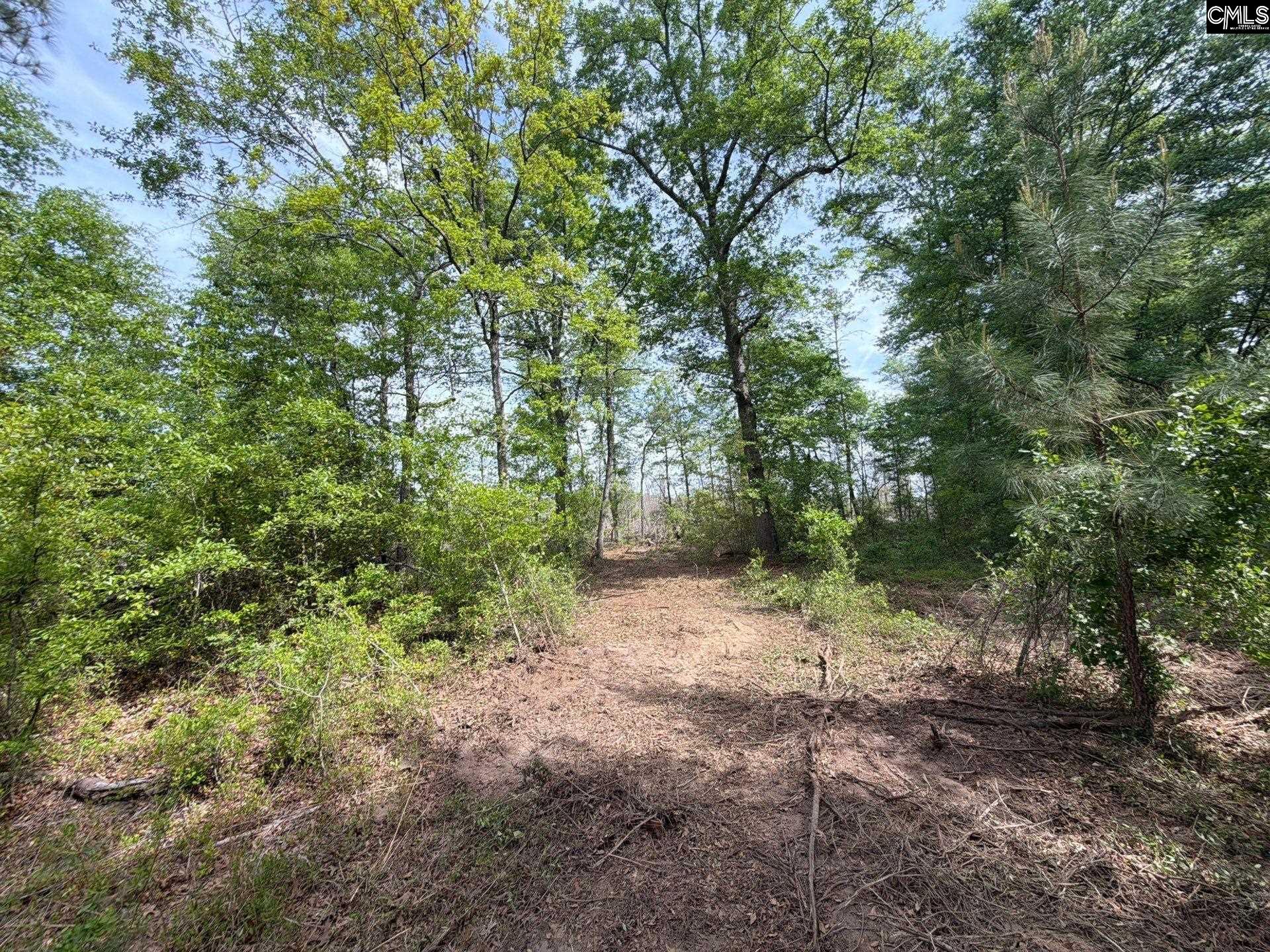 RRF 2 Rogers Cemetery Road UNIT RRF 2 Salley, SC 29137