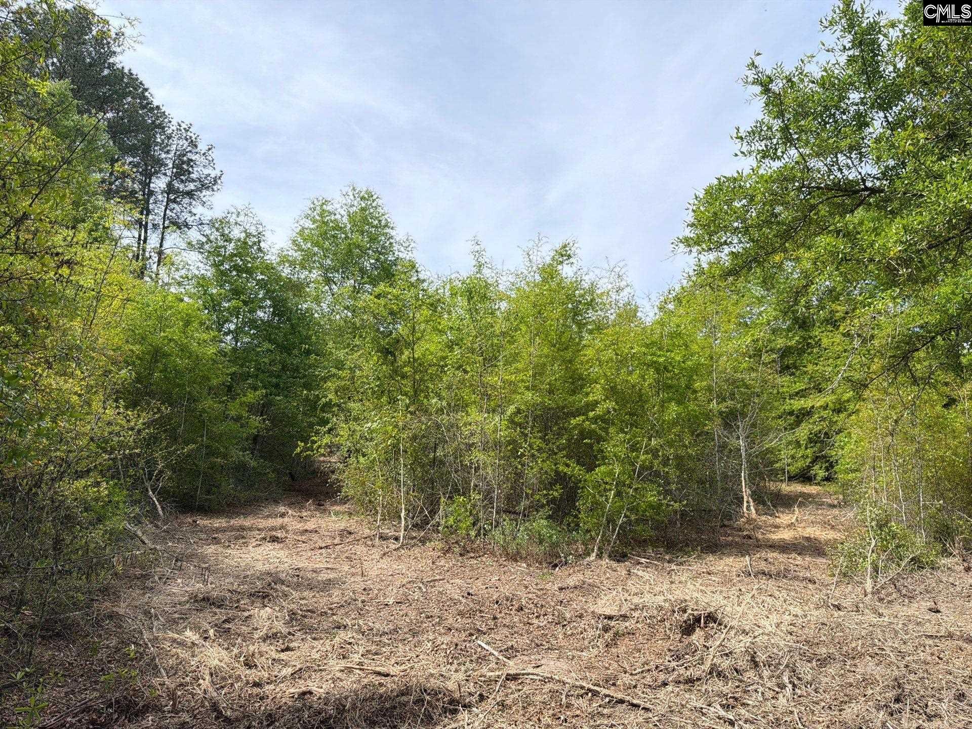 RRF 3 Rogers Cemetery Road UNIT RRF 3 Salley, SC 29137