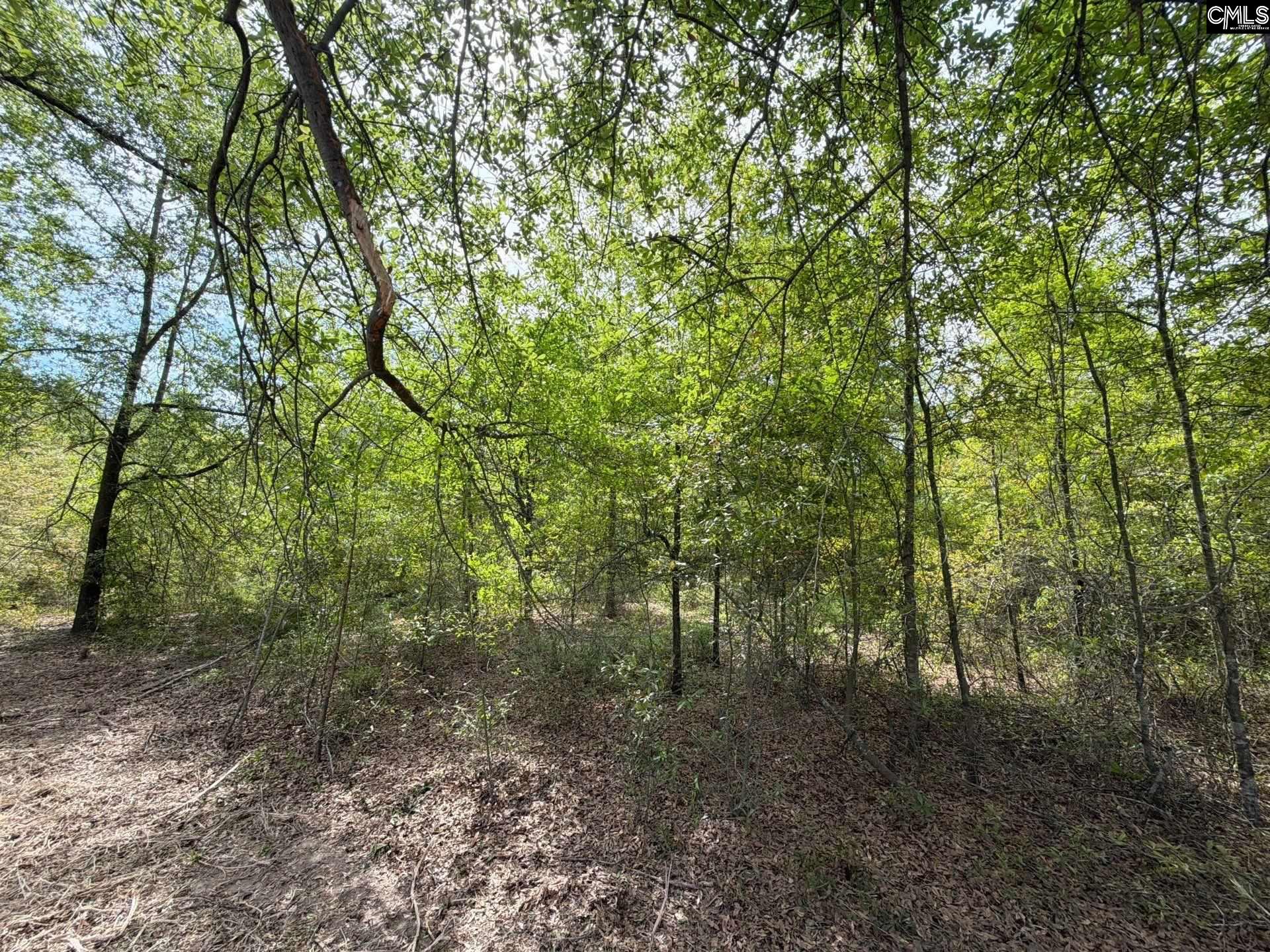 RRF 3 Rogers Cemetery Road UNIT RRF 3 Salley, SC 29137