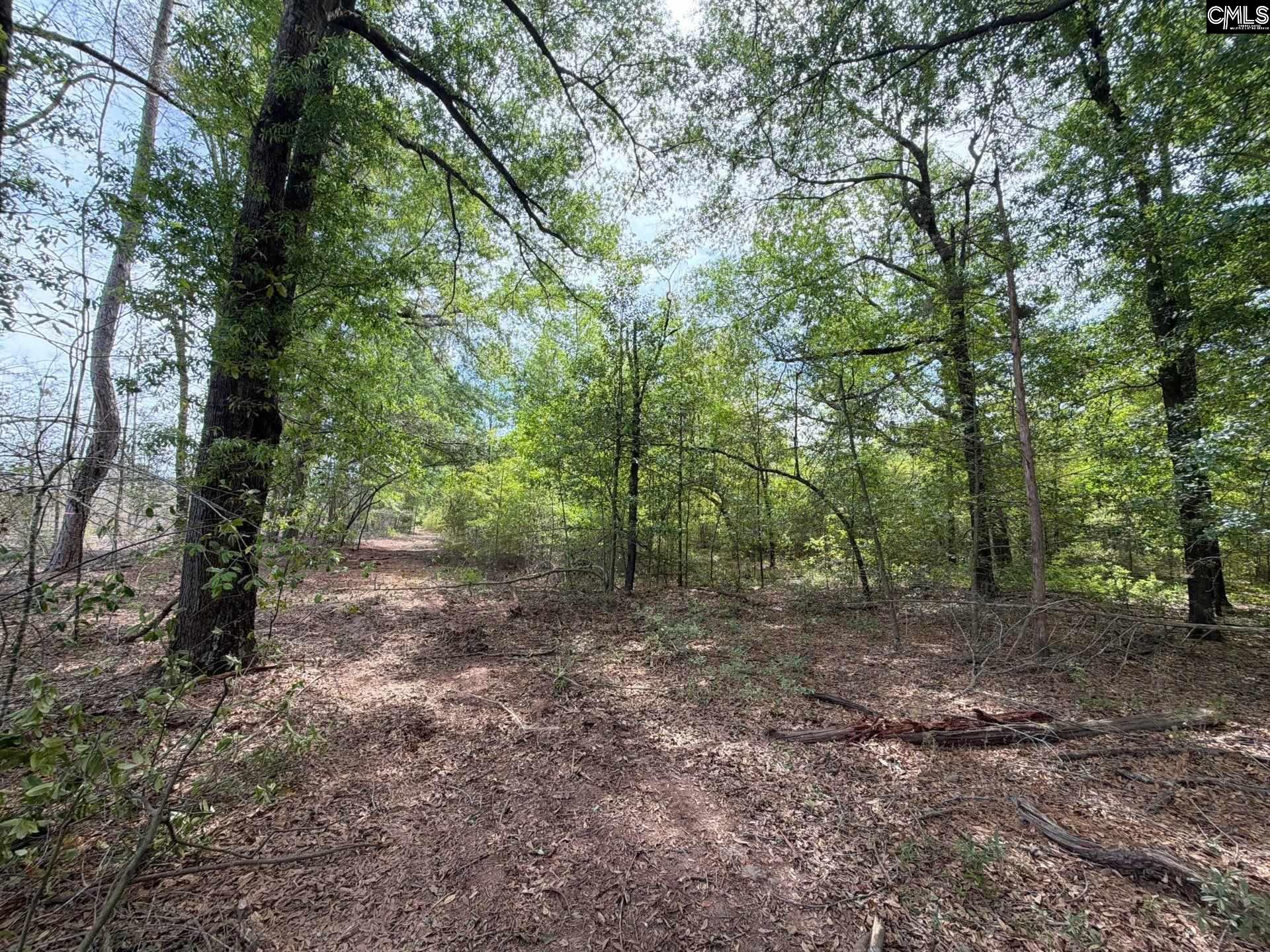RRF 3 Rogers Cemetery Road UNIT RRF 3 Salley, SC 29137
