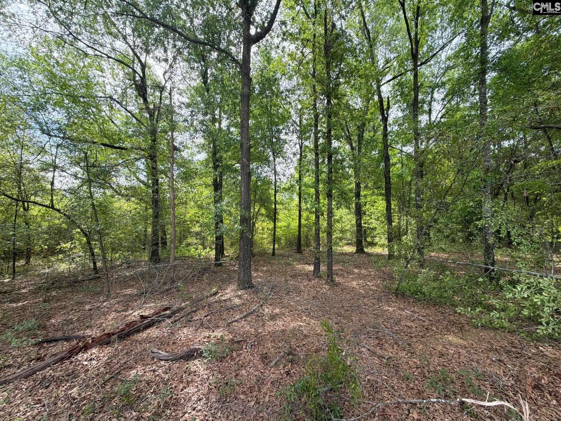 RRF 3 Rogers Cemetery Road UNIT RRF 3 Salley, SC 29137