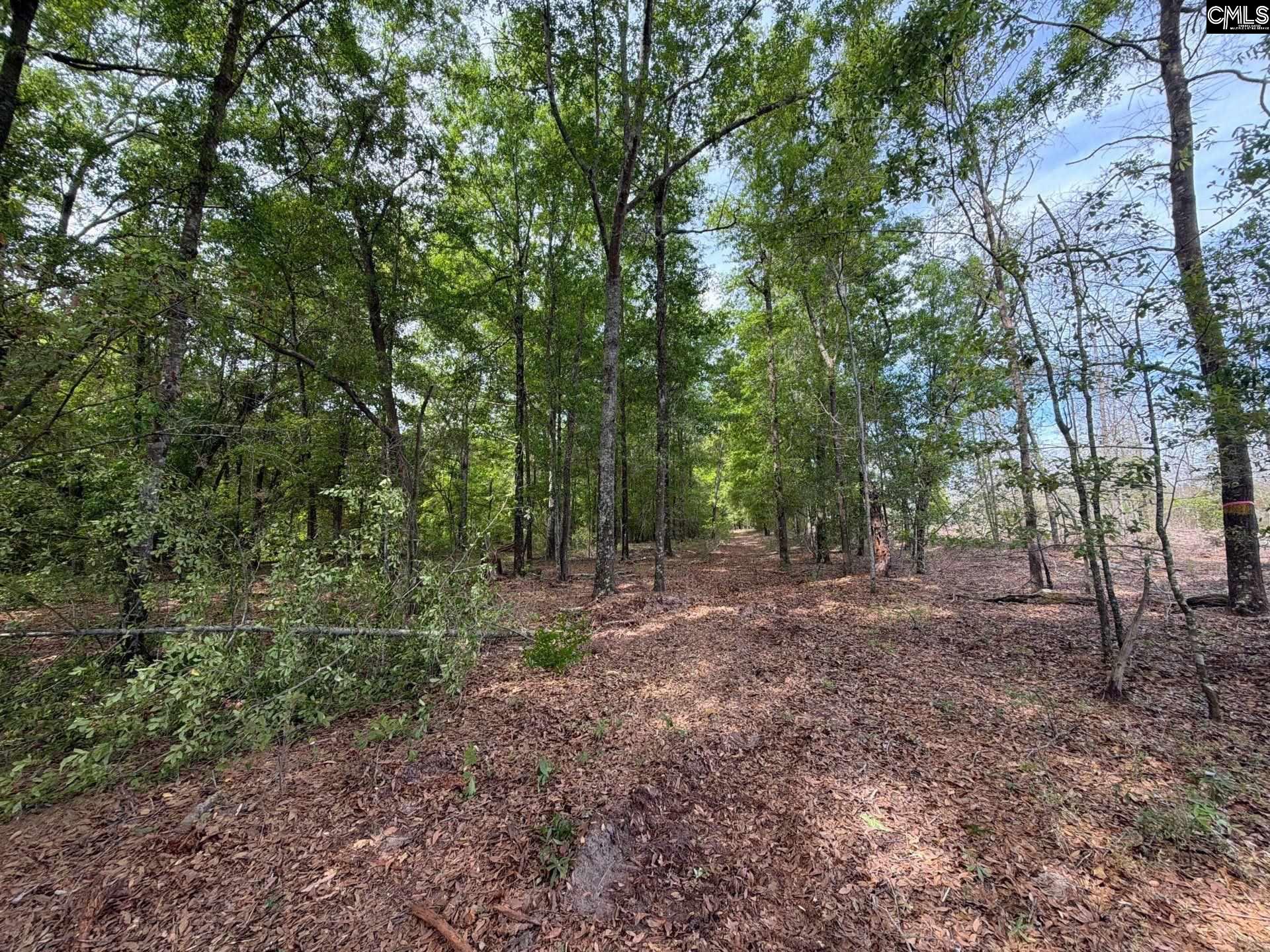RRF 3 Rogers Cemetery Road UNIT RRF 3 Salley, SC 29137