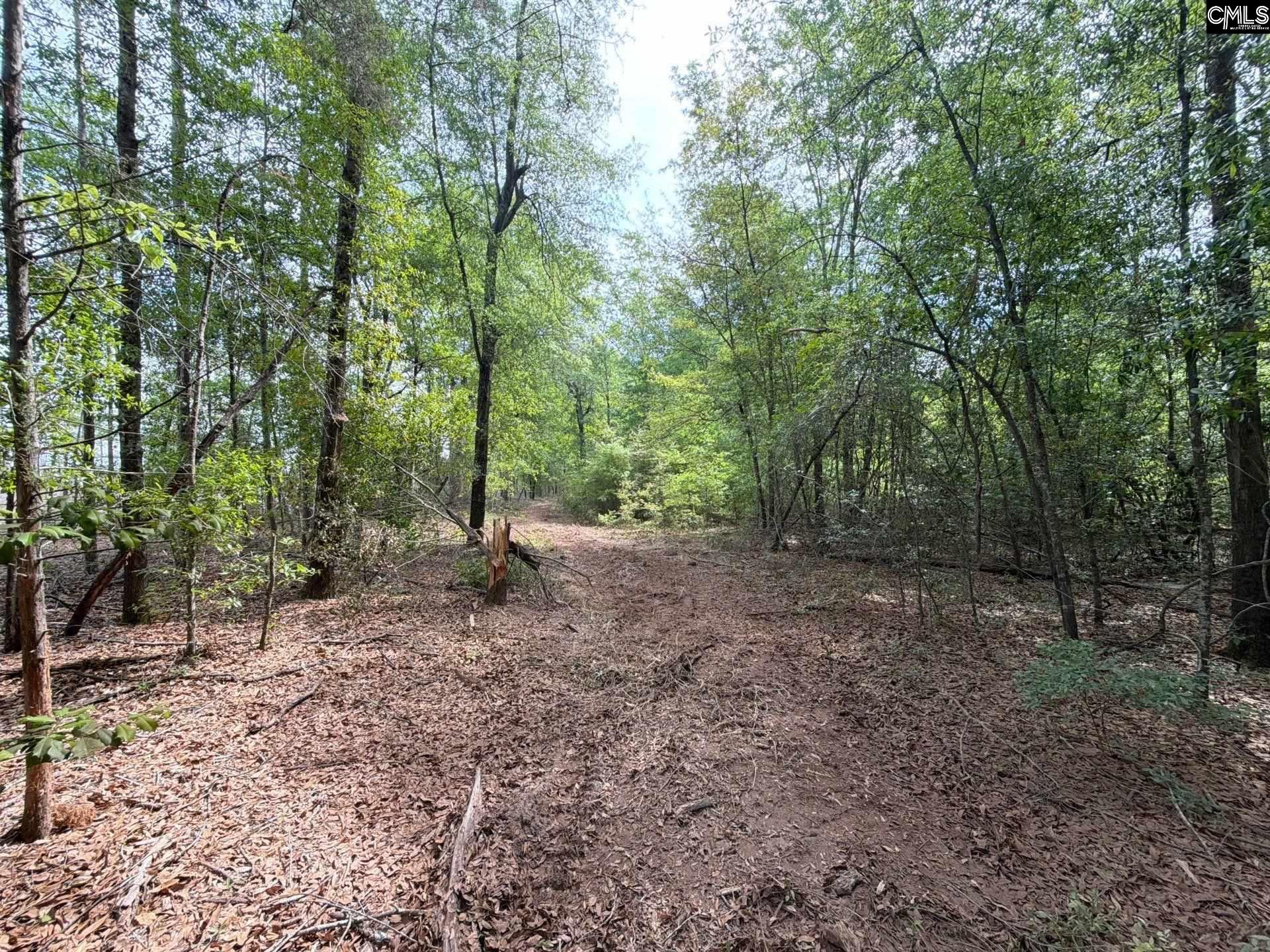 RRF 3 Rogers Cemetery Road UNIT RRF 3 Salley, SC 29137