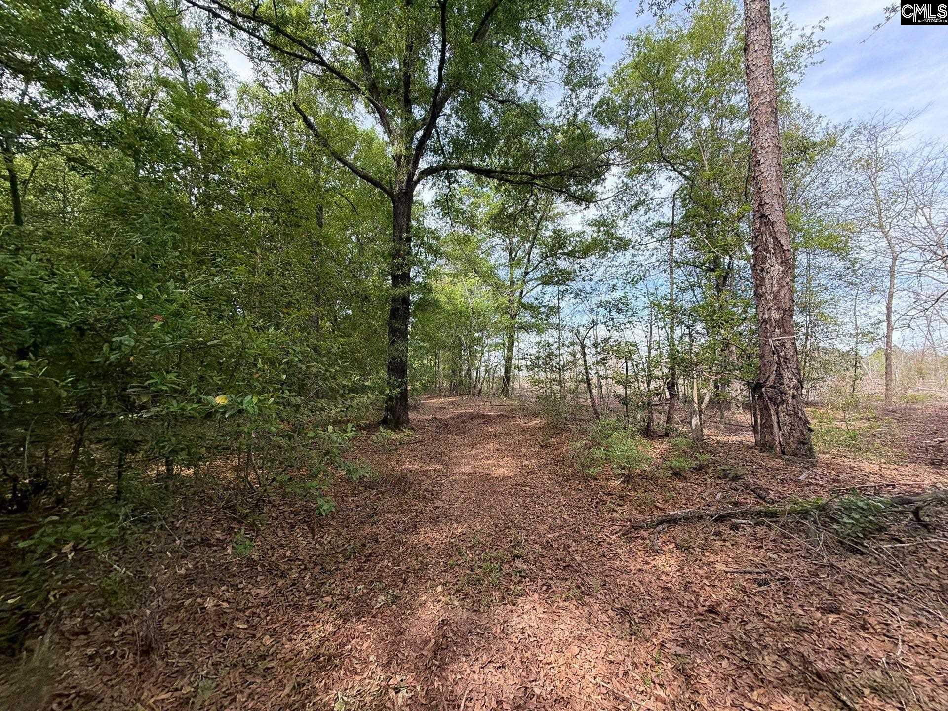 RRF 3 Rogers Cemetery Road UNIT RRF 3 Salley, SC 29137