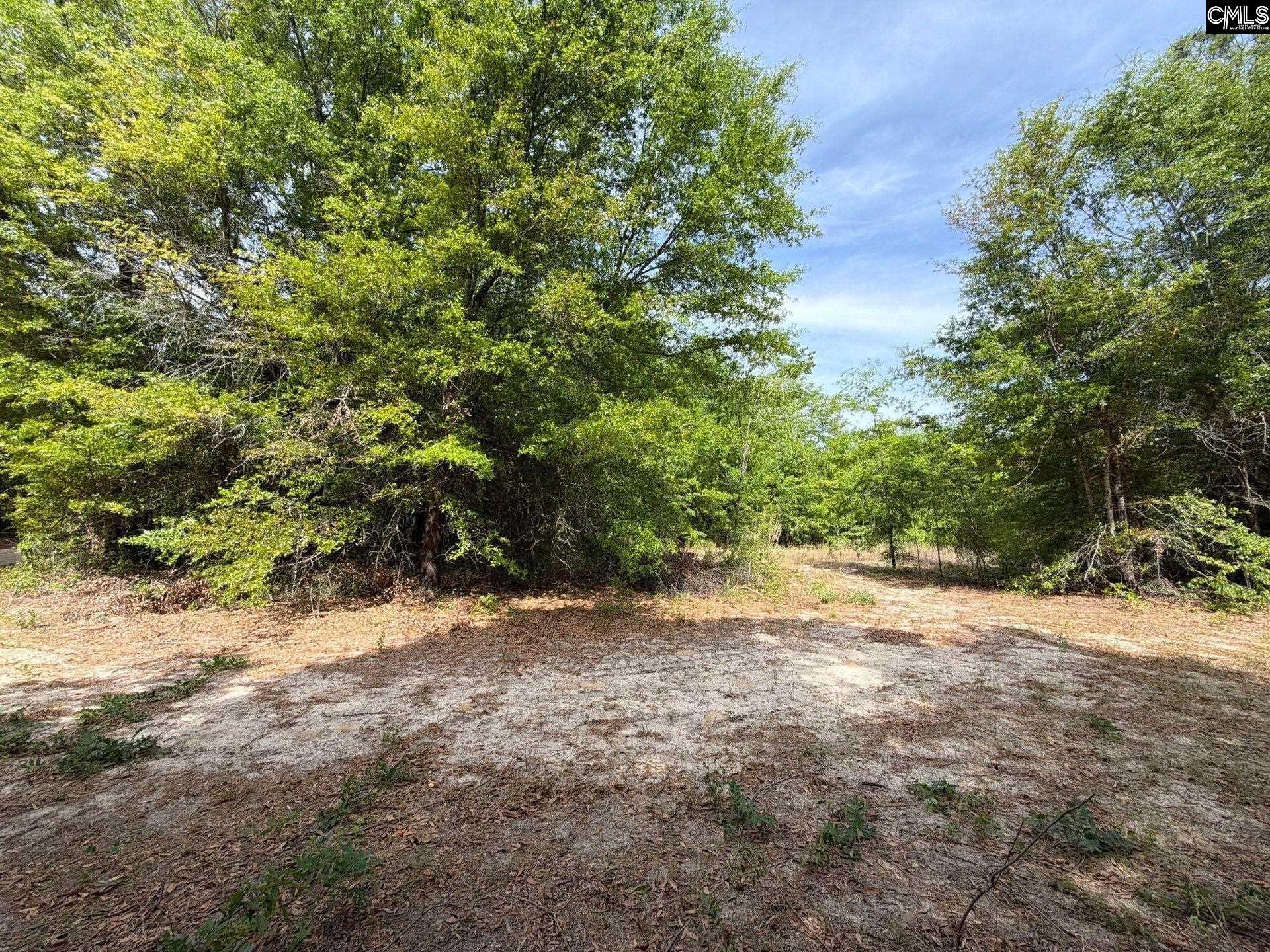 RRF 3 Rogers Cemetery Road UNIT RRF 3 Salley, SC 29137