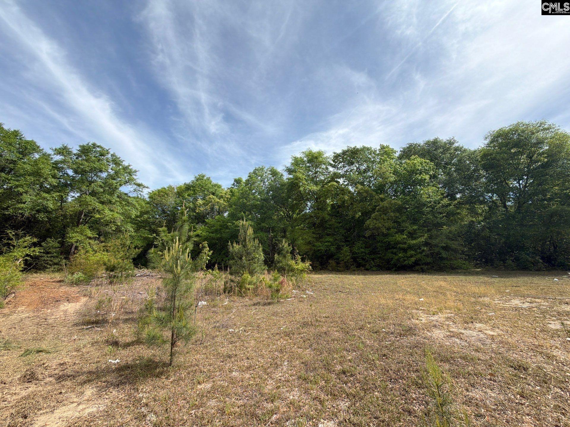 RRF 3 Rogers Cemetery Road UNIT RRF 3 Salley, SC 29137