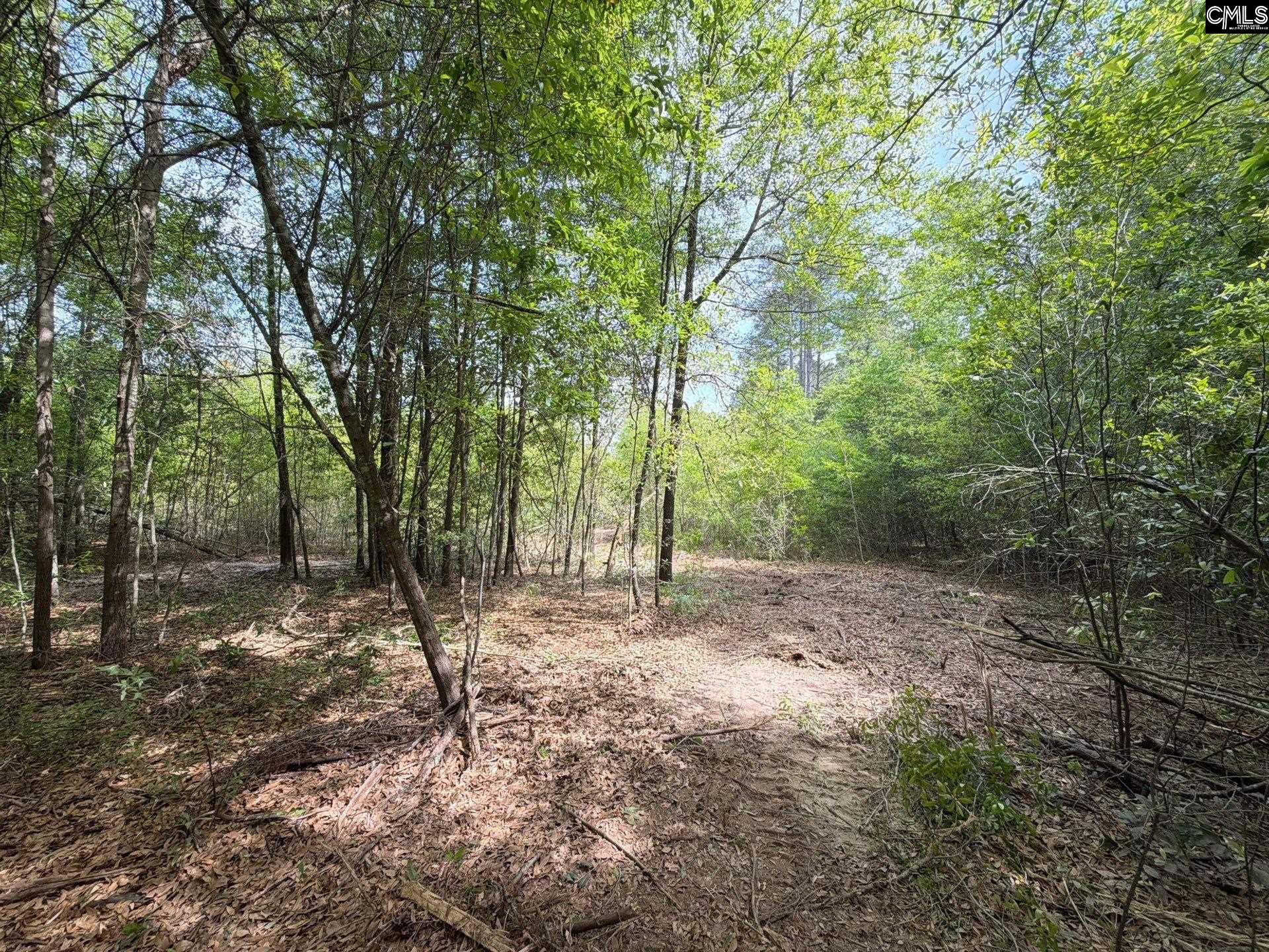 RRF 3 Rogers Cemetery Road UNIT RRF 3 Salley, SC 29137