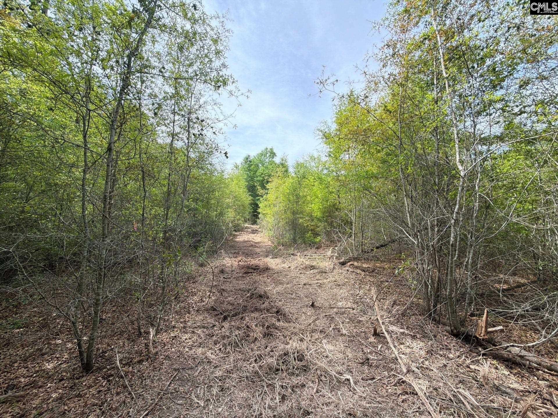 RRF 3 Rogers Cemetery Road UNIT RRF 3 Salley, SC 29137