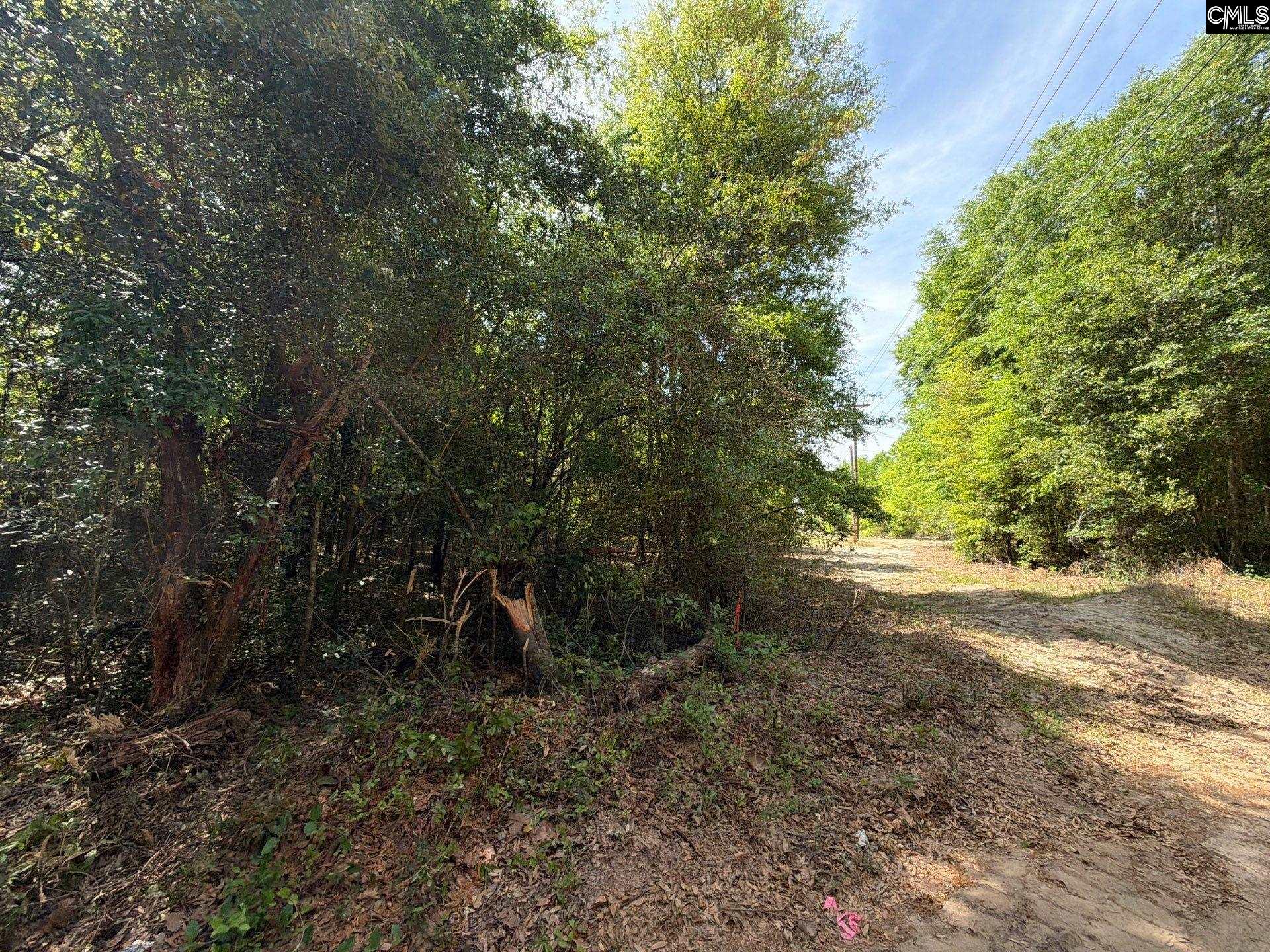 RRF 4 Rogers Cemetery Road UNIT RRF 4 Salley, SC 29137