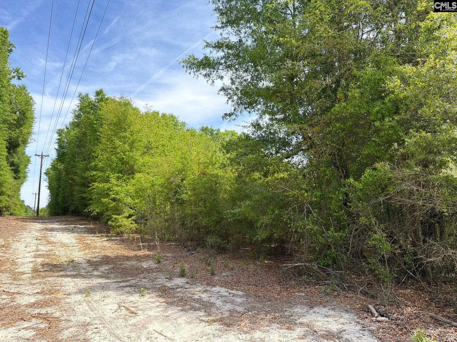 RRF 4 Rogers Cemetery Road UNIT RRF 4 Salley, SC 29137