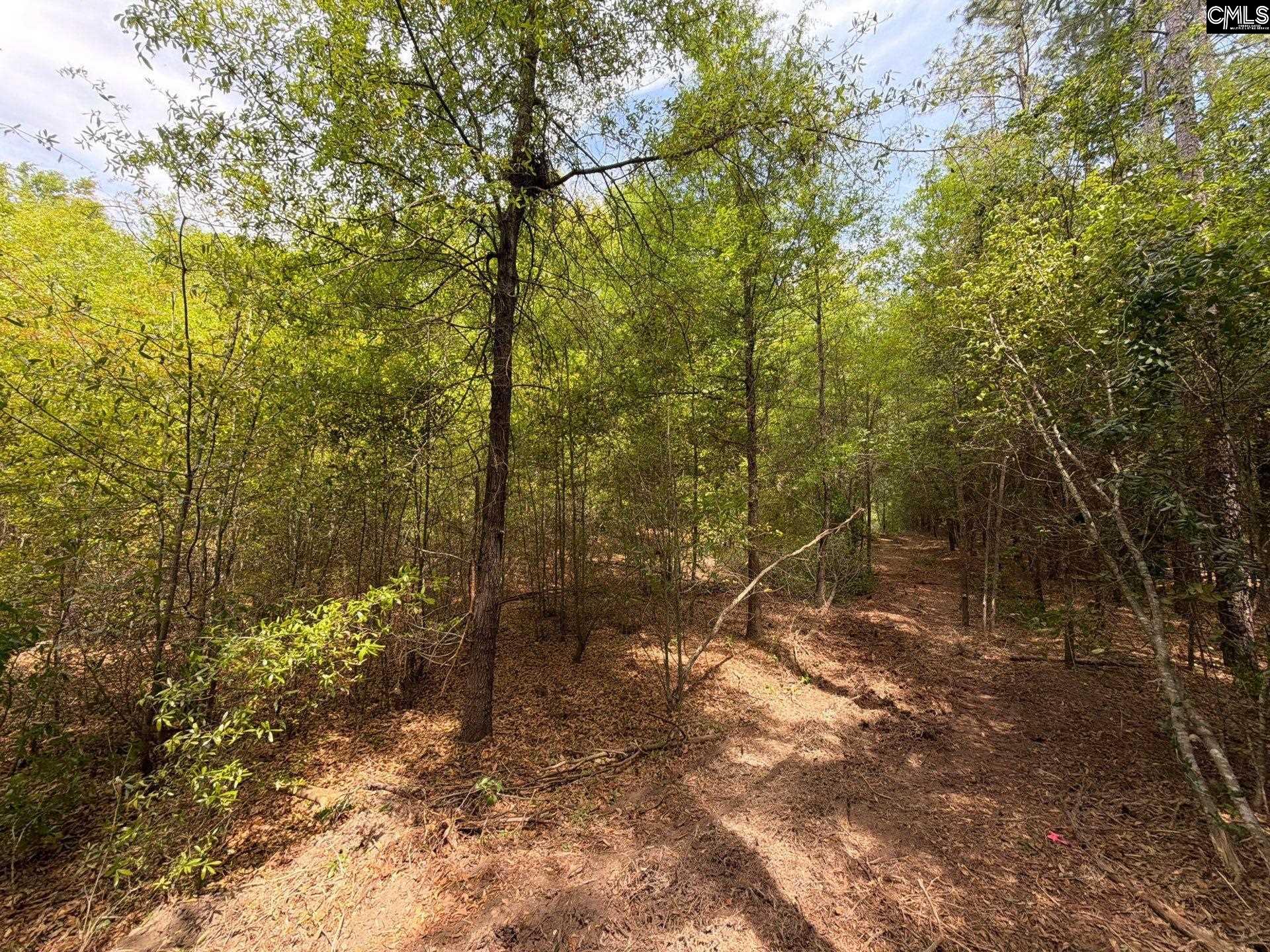RRF 4 Rogers Cemetery Road UNIT RRF 4 Salley, SC 29137