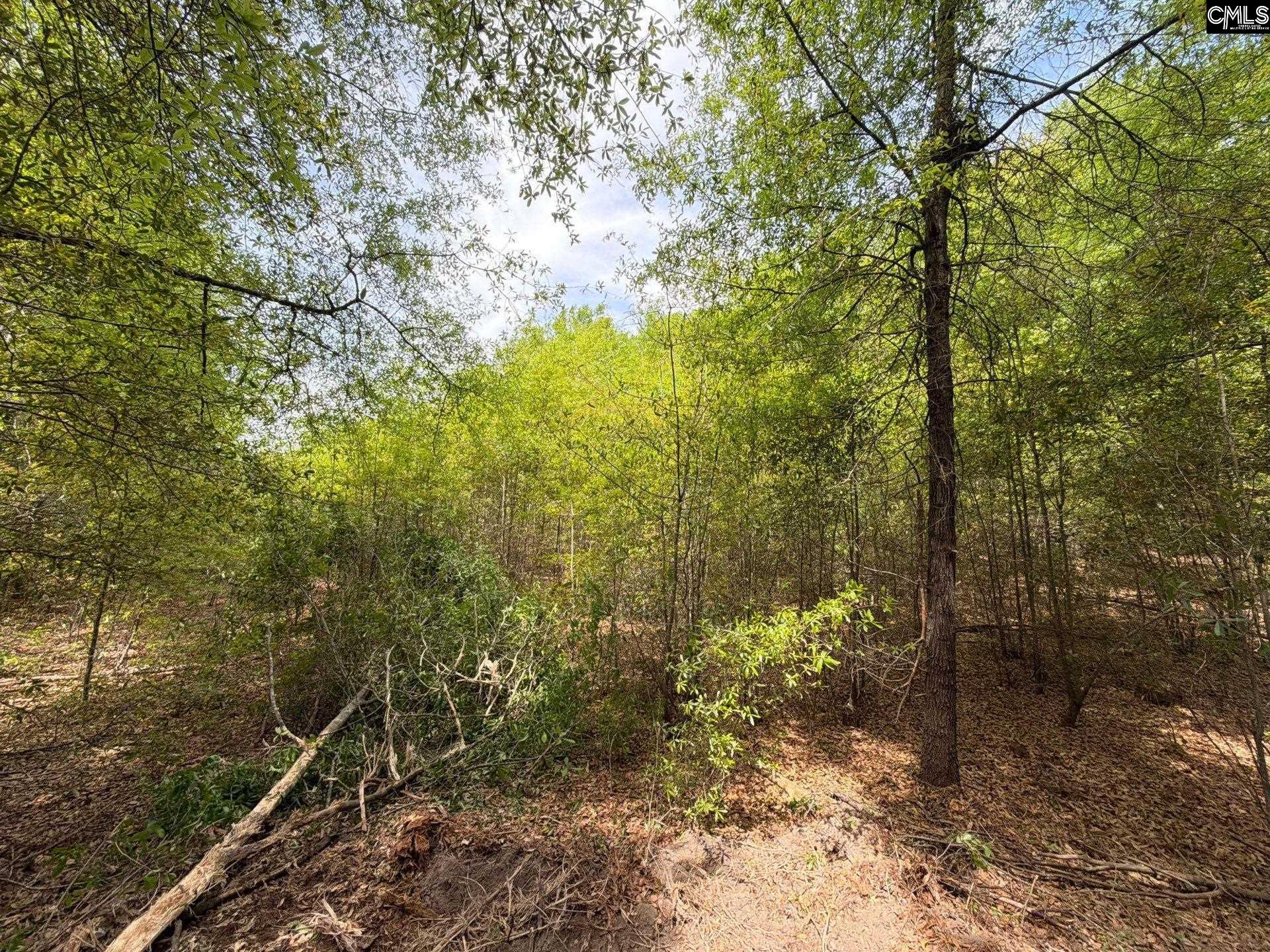 RRF 4 Rogers Cemetery Road UNIT RRF 4 Salley, SC 29137