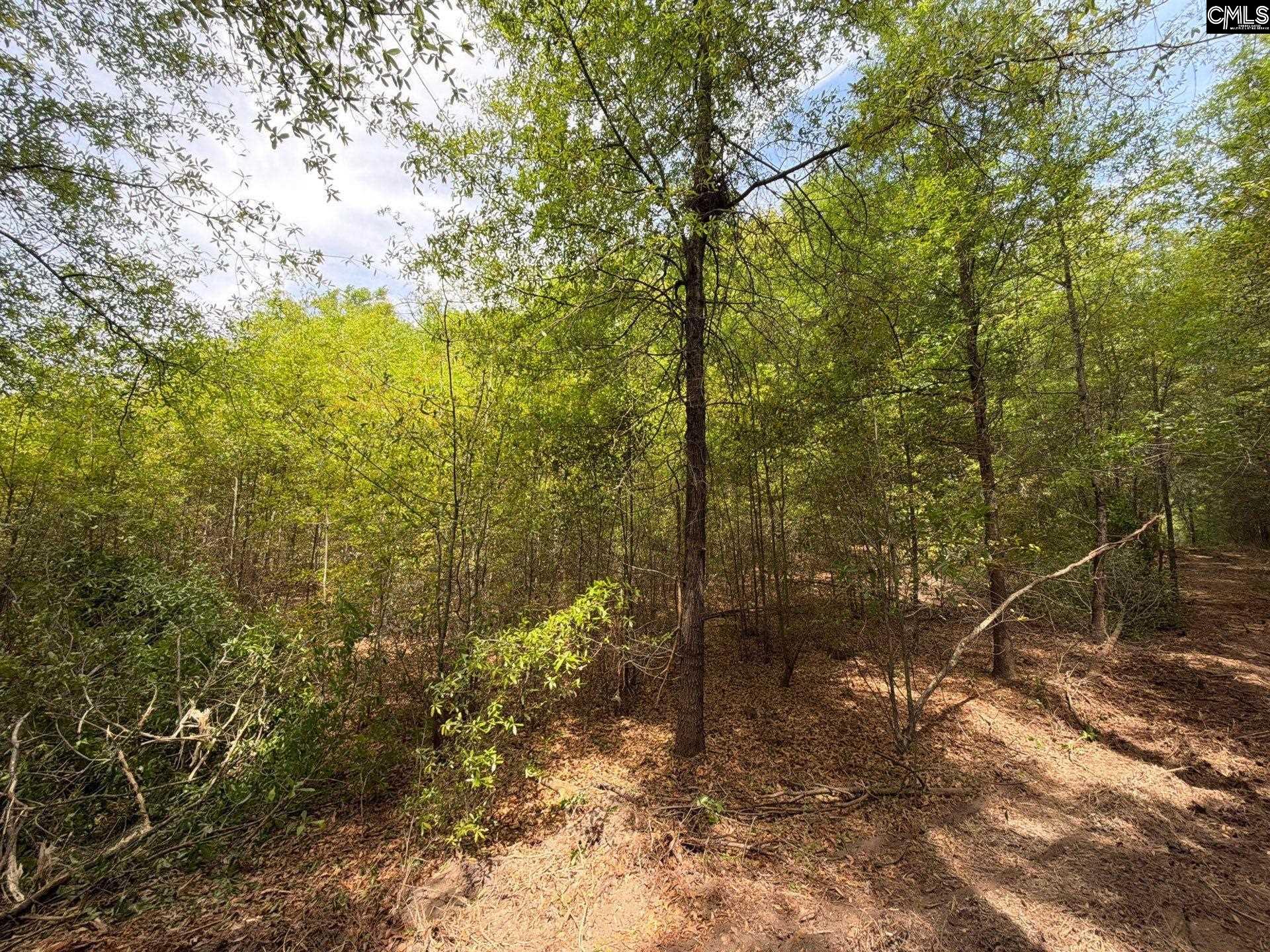 RRF 4 Rogers Cemetery Road UNIT RRF 4 Salley, SC 29137
