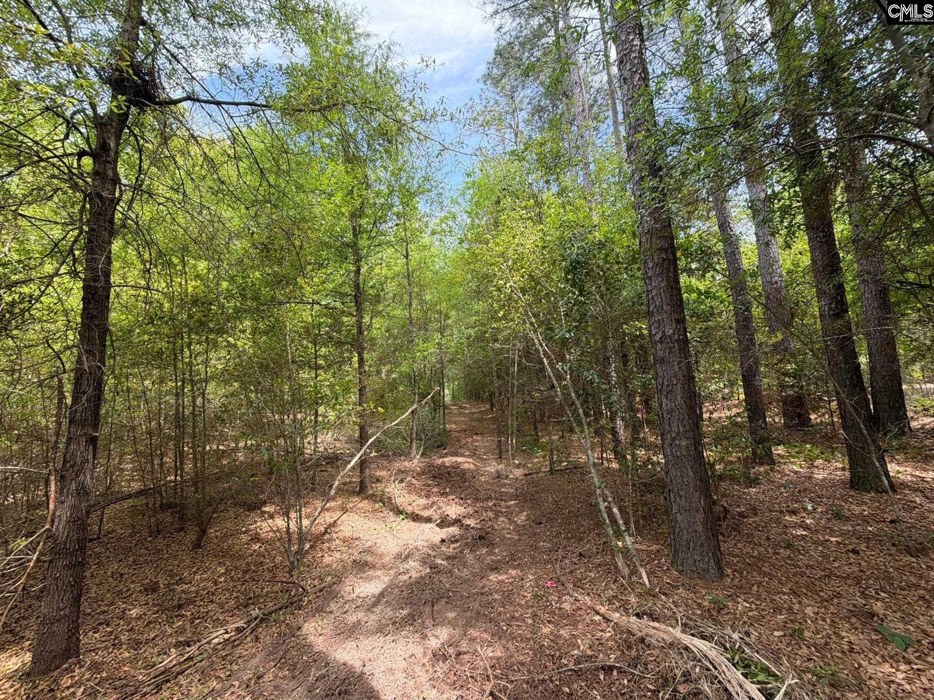 RRF 4 Rogers Cemetery Road UNIT RRF 4 Salley, SC 29137