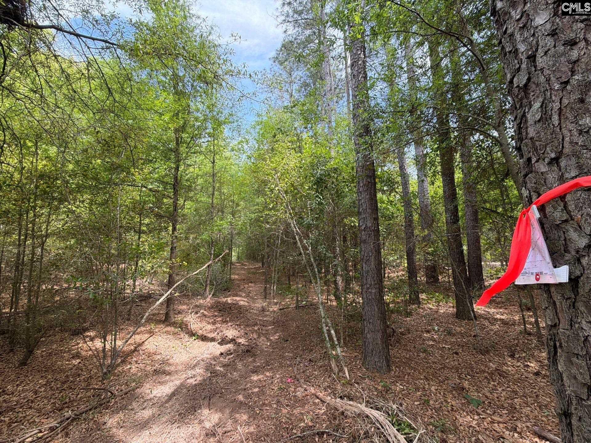 RRF 4 Rogers Cemetery Road UNIT RRF 4 Salley, SC 29137