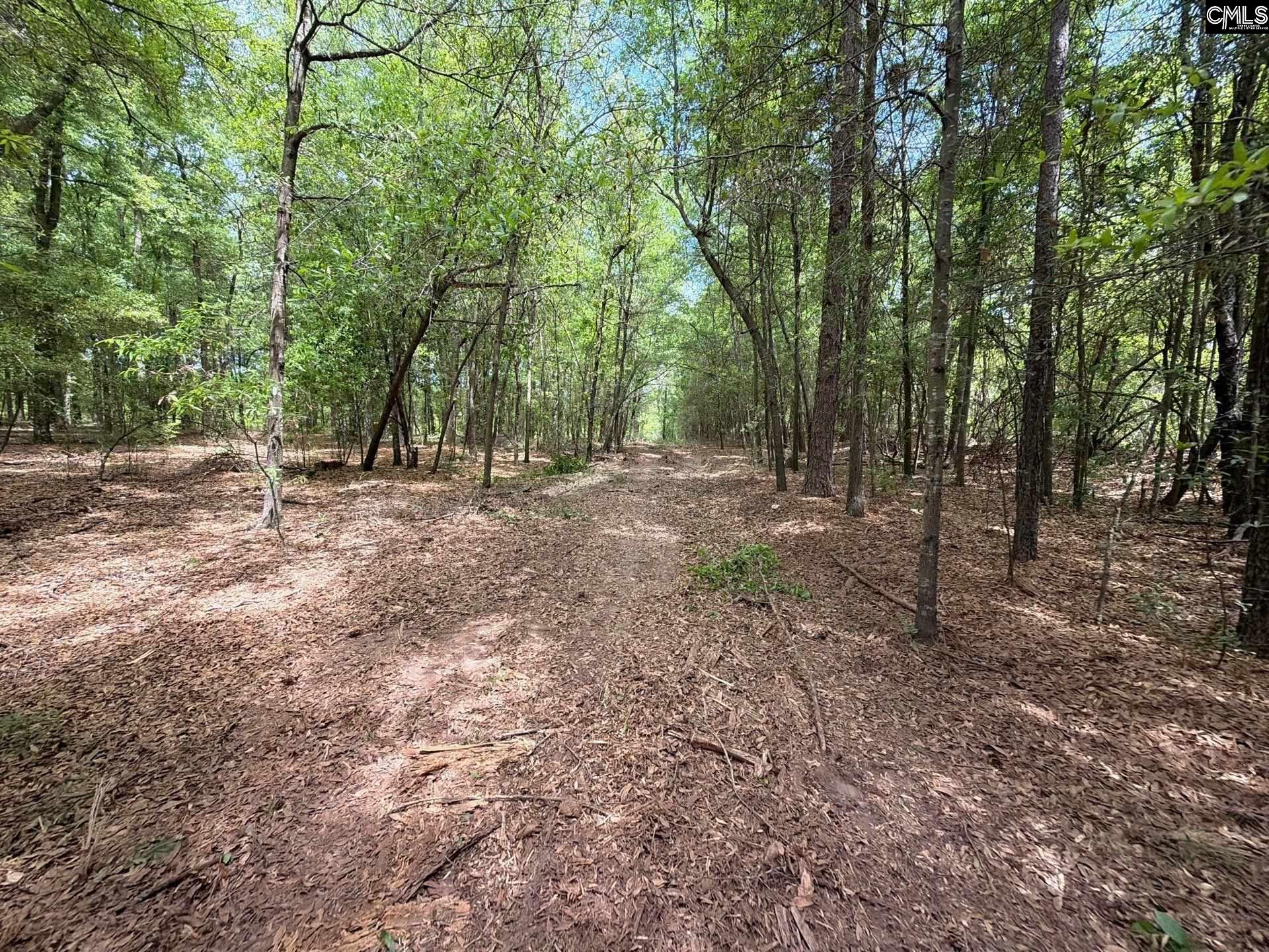 RRF 4 Rogers Cemetery Road UNIT RRF 4 Salley, SC 29137
