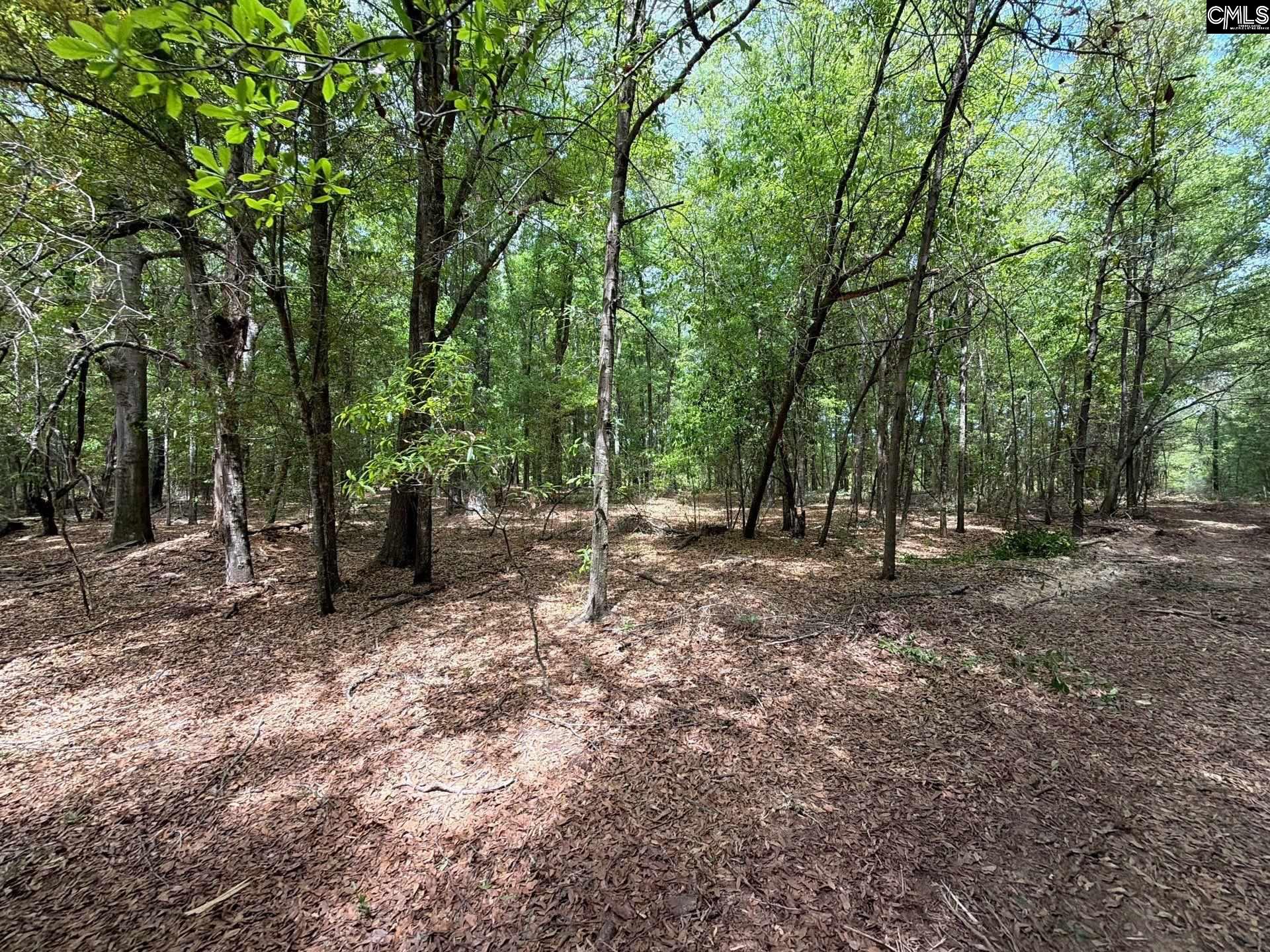 RRF 4 Rogers Cemetery Road UNIT RRF 4 Salley, SC 29137