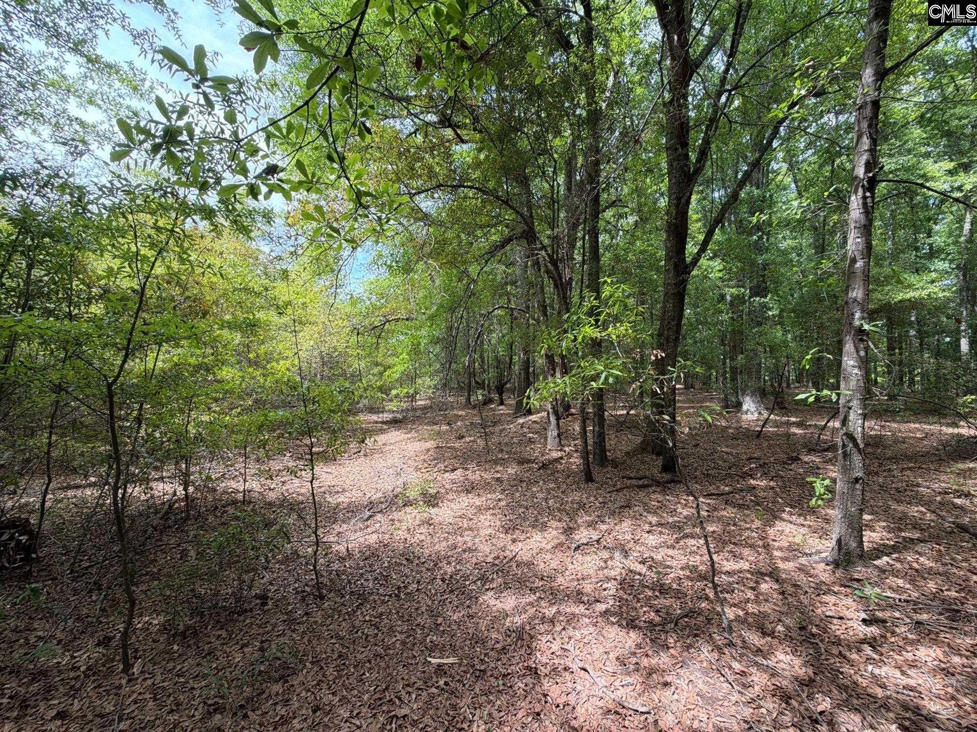 RRF 4 Rogers Cemetery Road UNIT RRF 4 Salley, SC 29137
