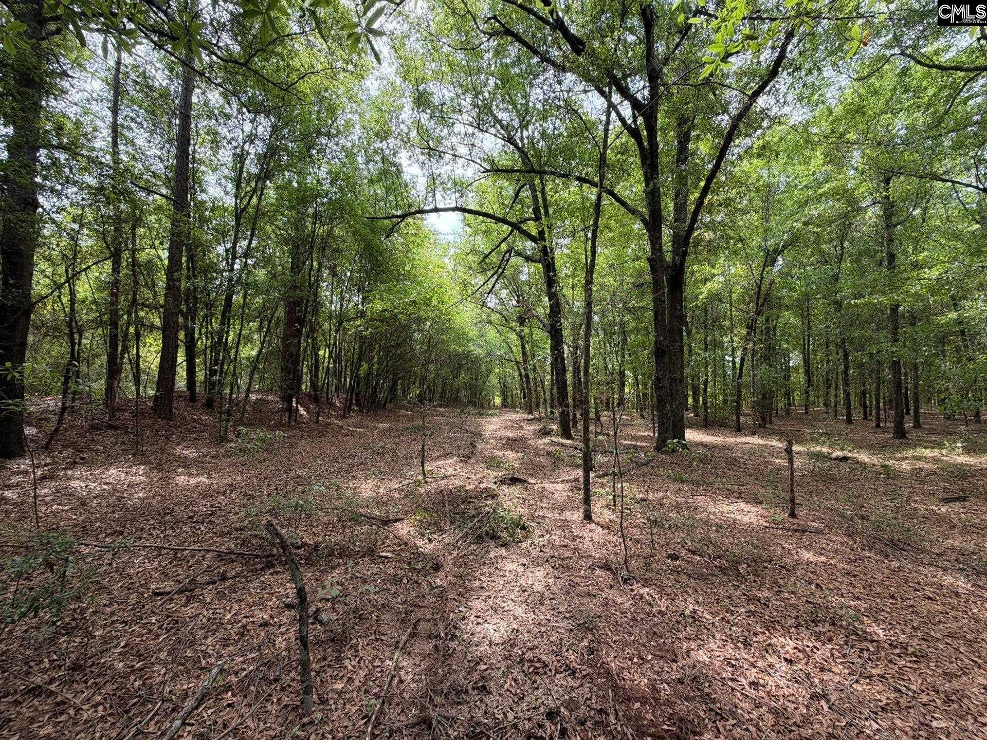 RRF 4 Rogers Cemetery Road UNIT RRF 4 Salley, SC 29137