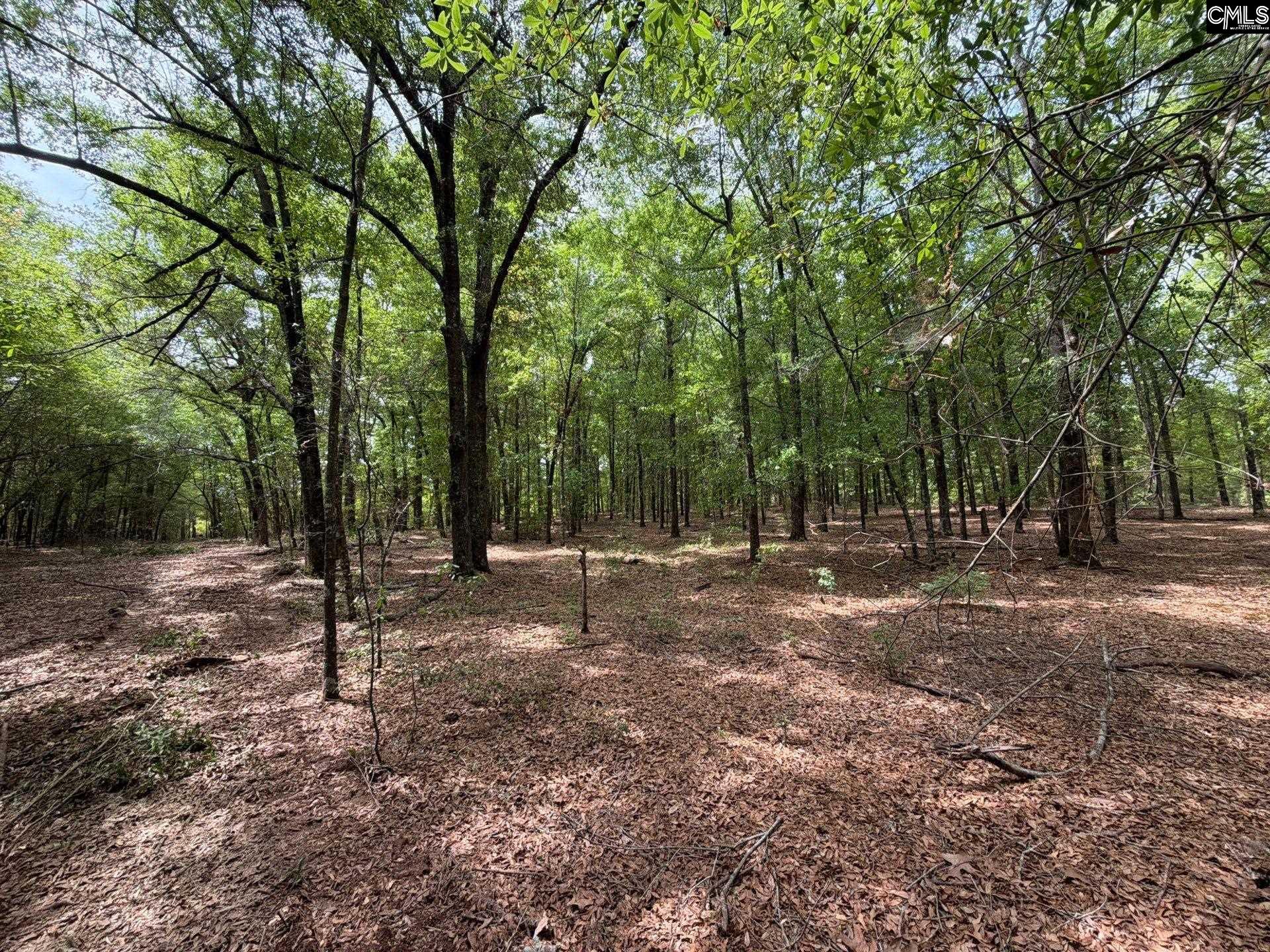 RRF 4 Rogers Cemetery Road UNIT RRF 4 Salley, SC 29137