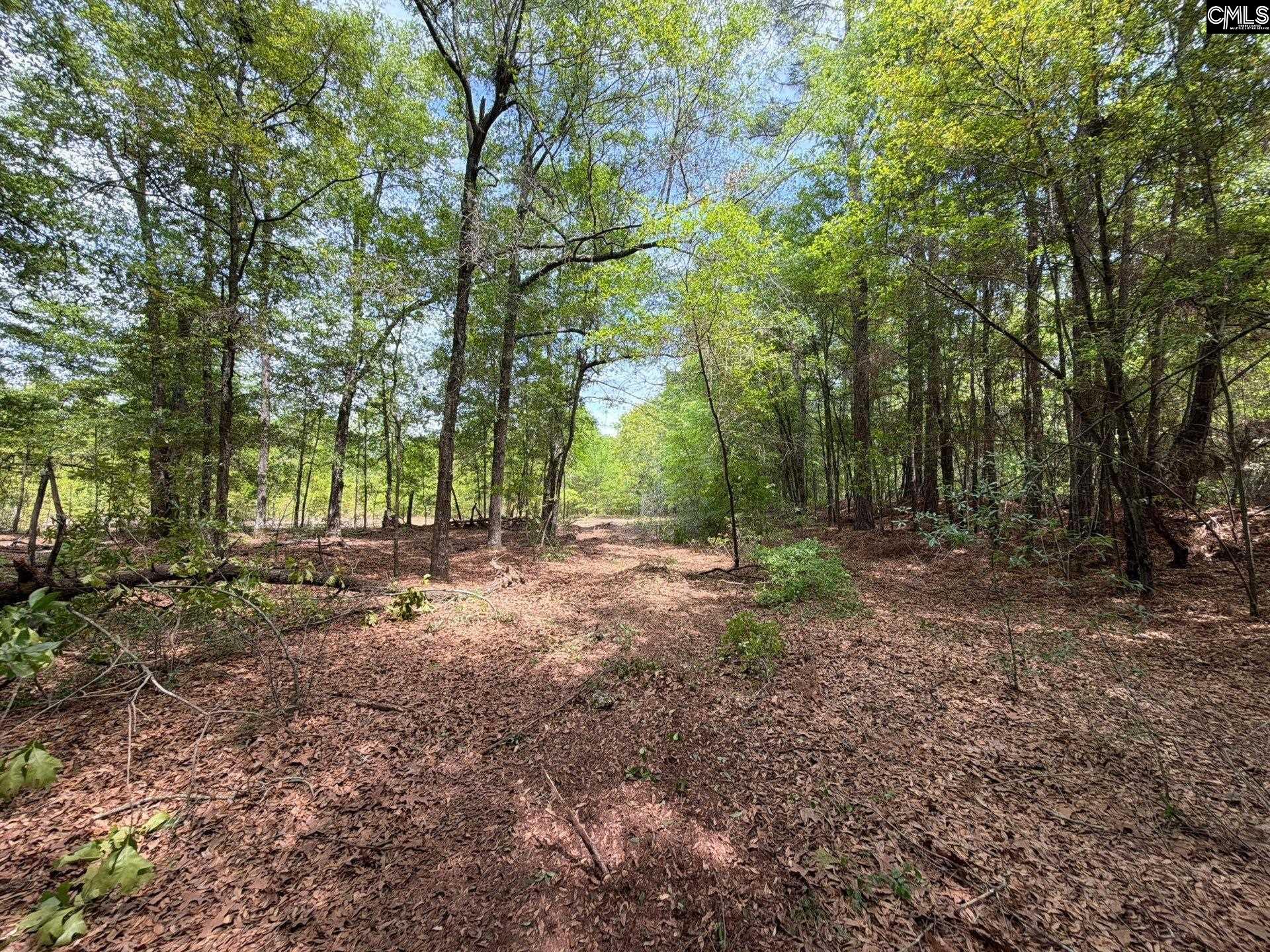 RRF 4 Rogers Cemetery Road UNIT RRF 4 Salley, SC 29137