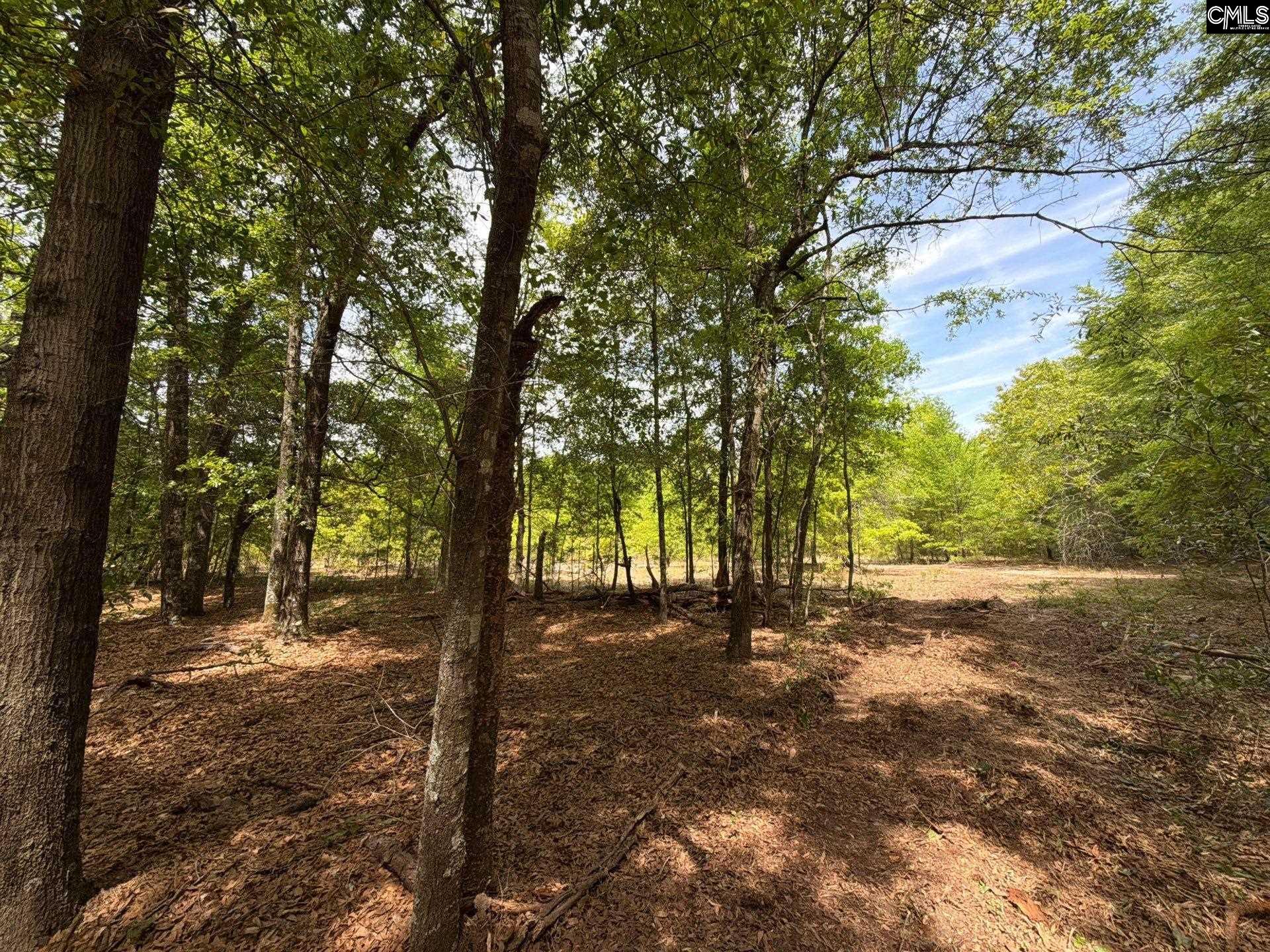 RRF 4 Rogers Cemetery Road UNIT RRF 4 Salley, SC 29137