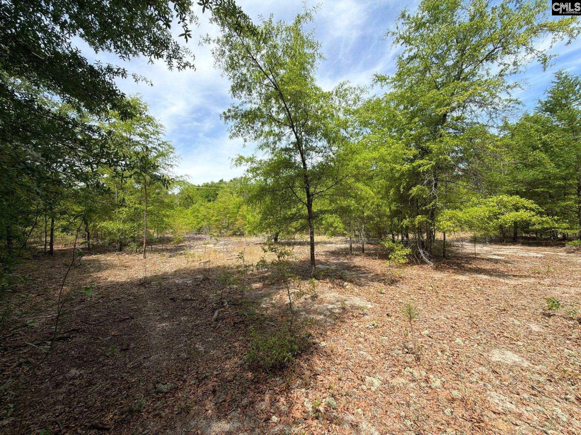 RRF 5 Rogers Cemetery Road UNIT RRF 5 Salley, SC 29137