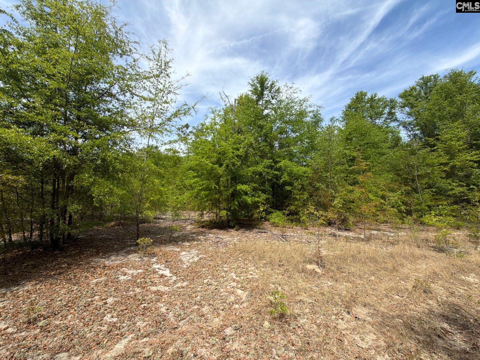 RRF 5 Rogers Cemetery Road UNIT RRF 5 Salley, SC 29137