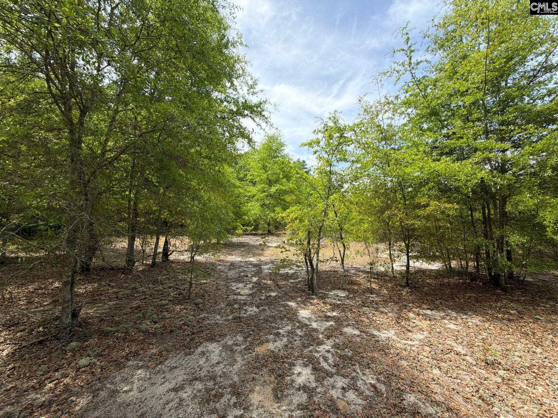 RRF 5 Rogers Cemetery Road UNIT RRF 5 Salley, SC 29137