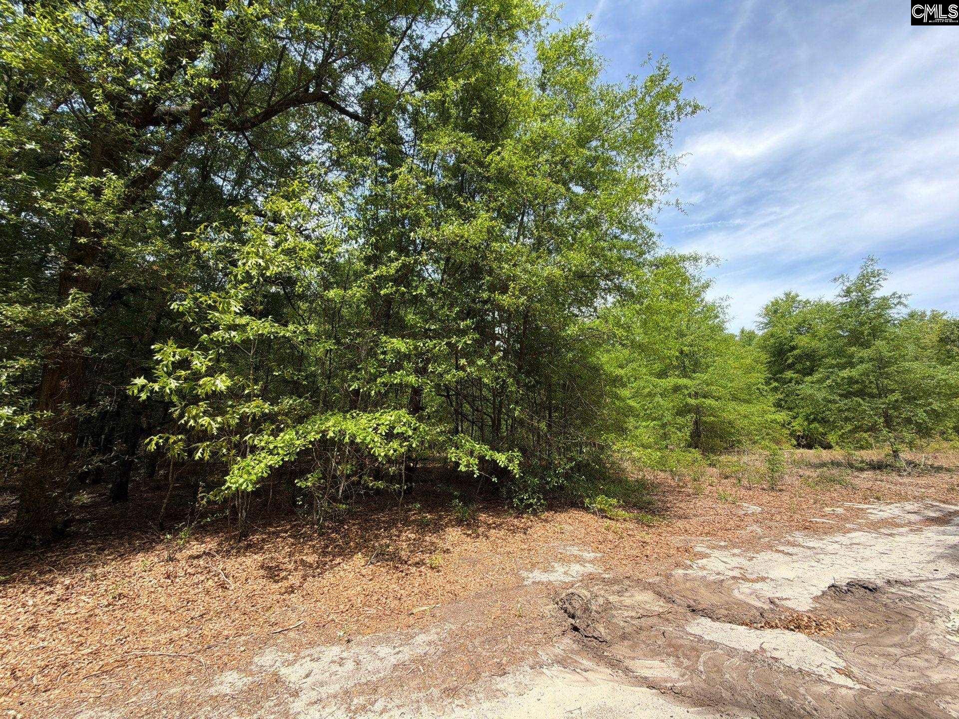 RRF 5 Rogers Cemetery Road UNIT RRF 5 Salley, SC 29137