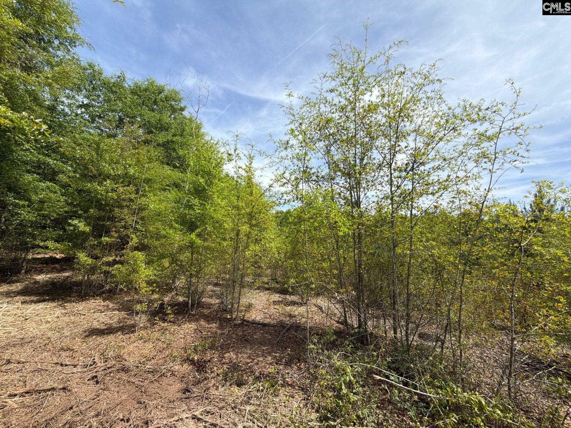 RRF 5 Rogers Cemetery Road UNIT RRF 5 Salley, SC 29137