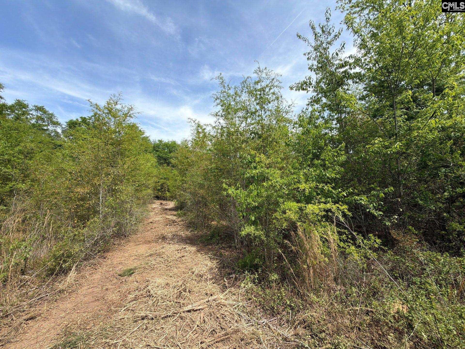 RRF 5 Rogers Cemetery Road UNIT RRF 5 Salley, SC 29137