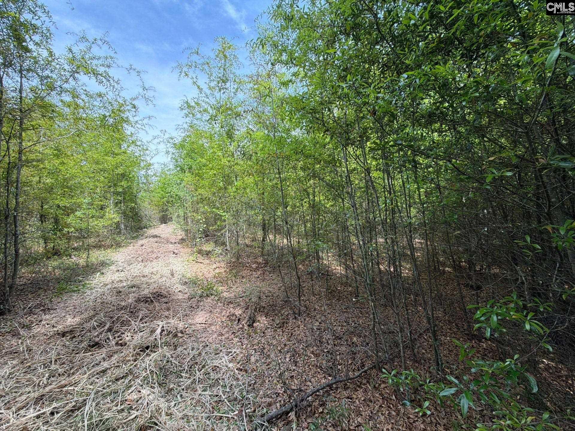 RRF 5 Rogers Cemetery Road UNIT RRF 5 Salley, SC 29137