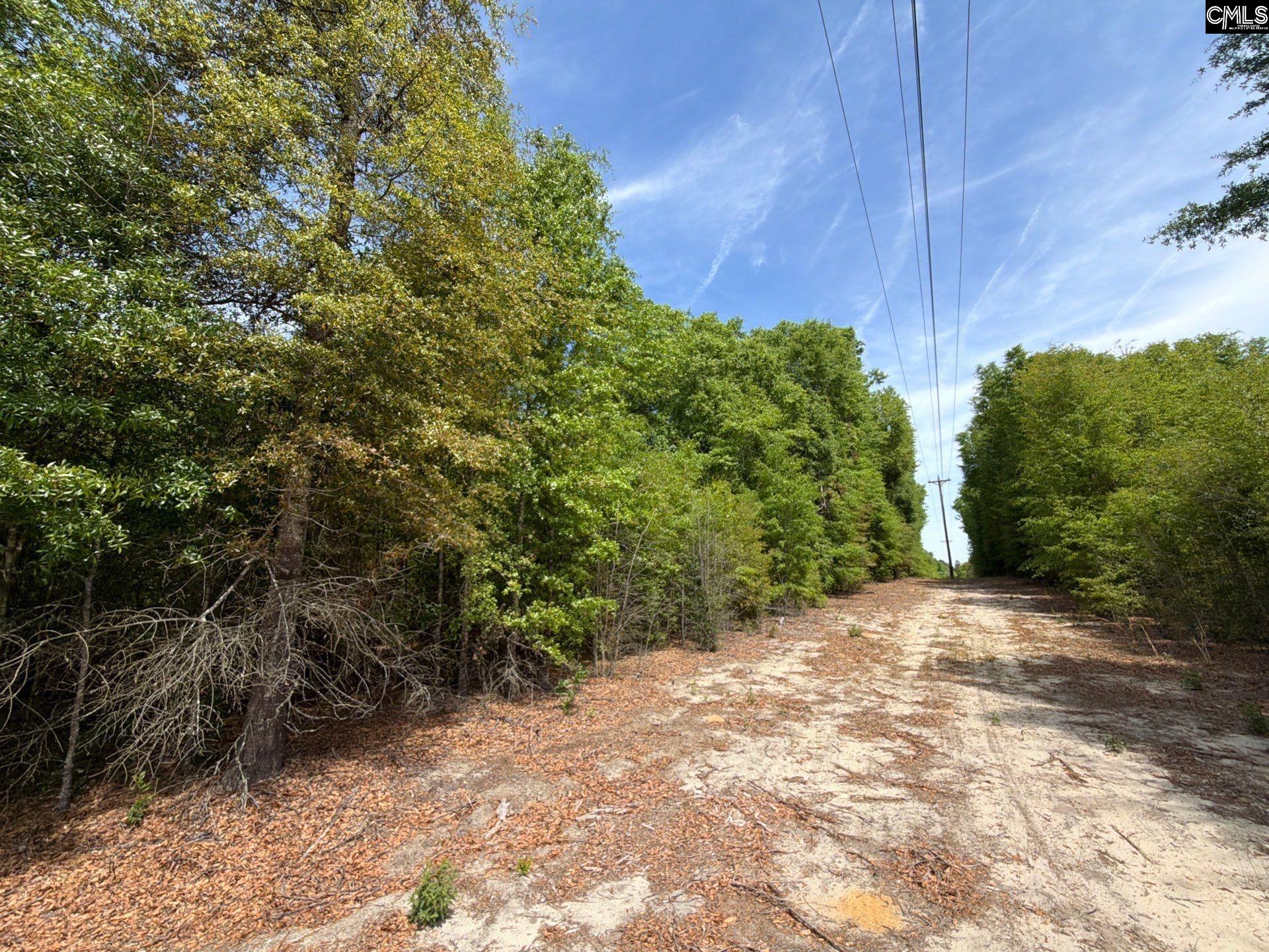RRF 5 Rogers Cemetery Road UNIT RRF 5 Salley, SC 29137