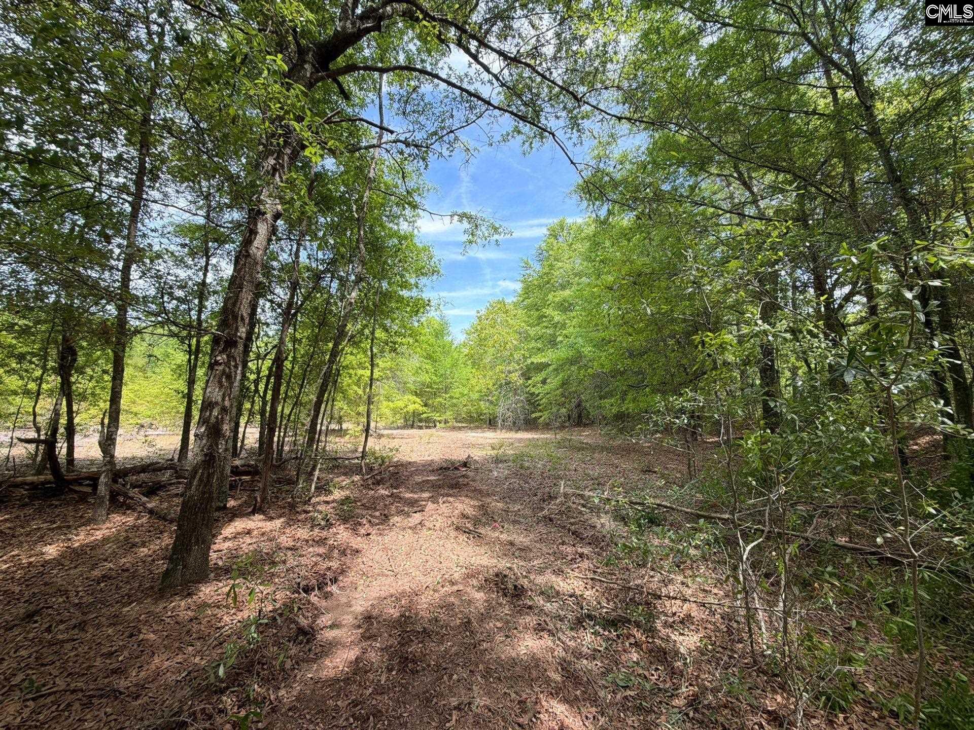 RRF 5 Rogers Cemetery Road UNIT RRF 5 Salley, SC 29137
