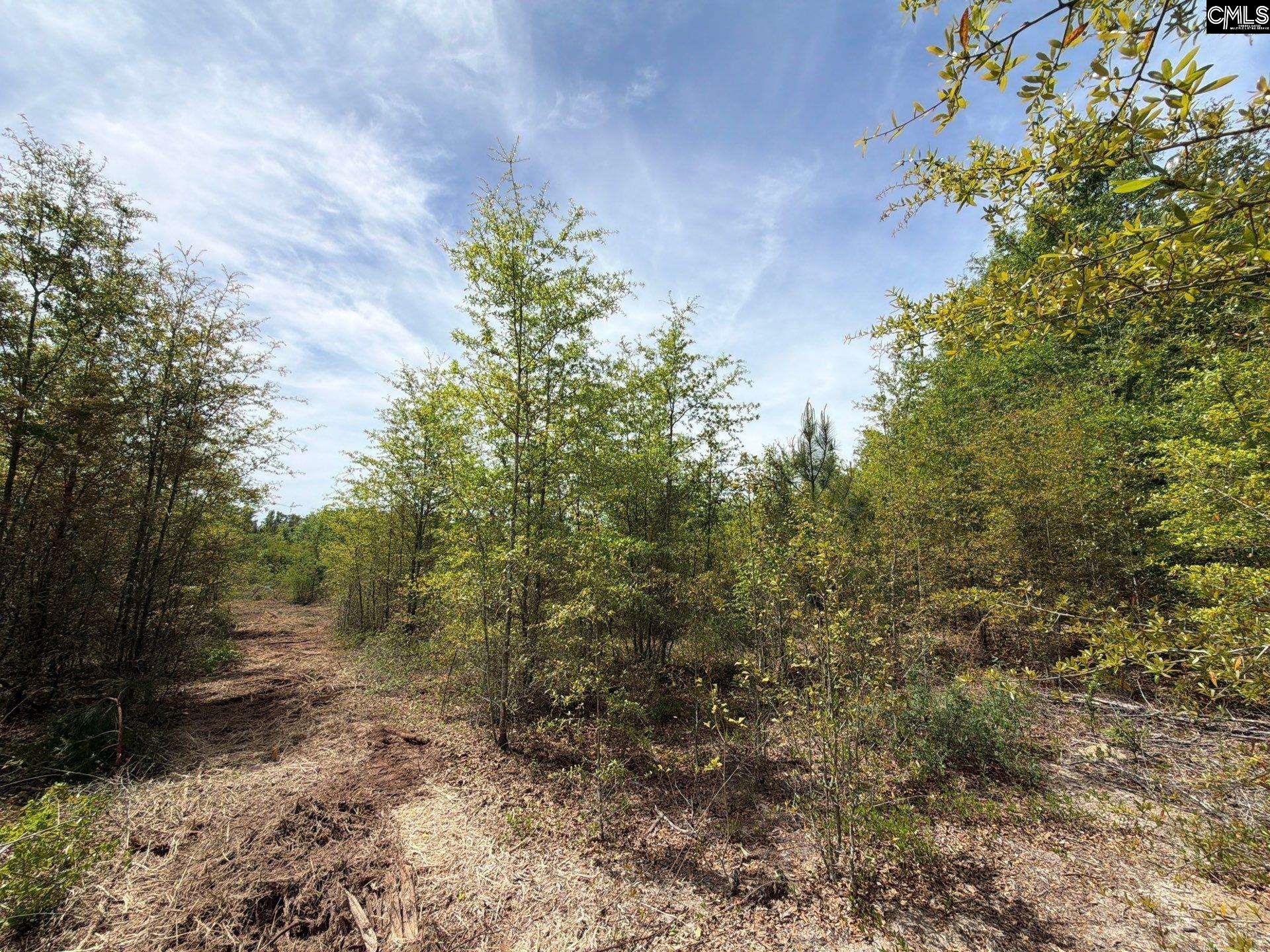 RRF 6 Rogers Cemetery Road UNIT RRF 6 Salley, SC 29137
